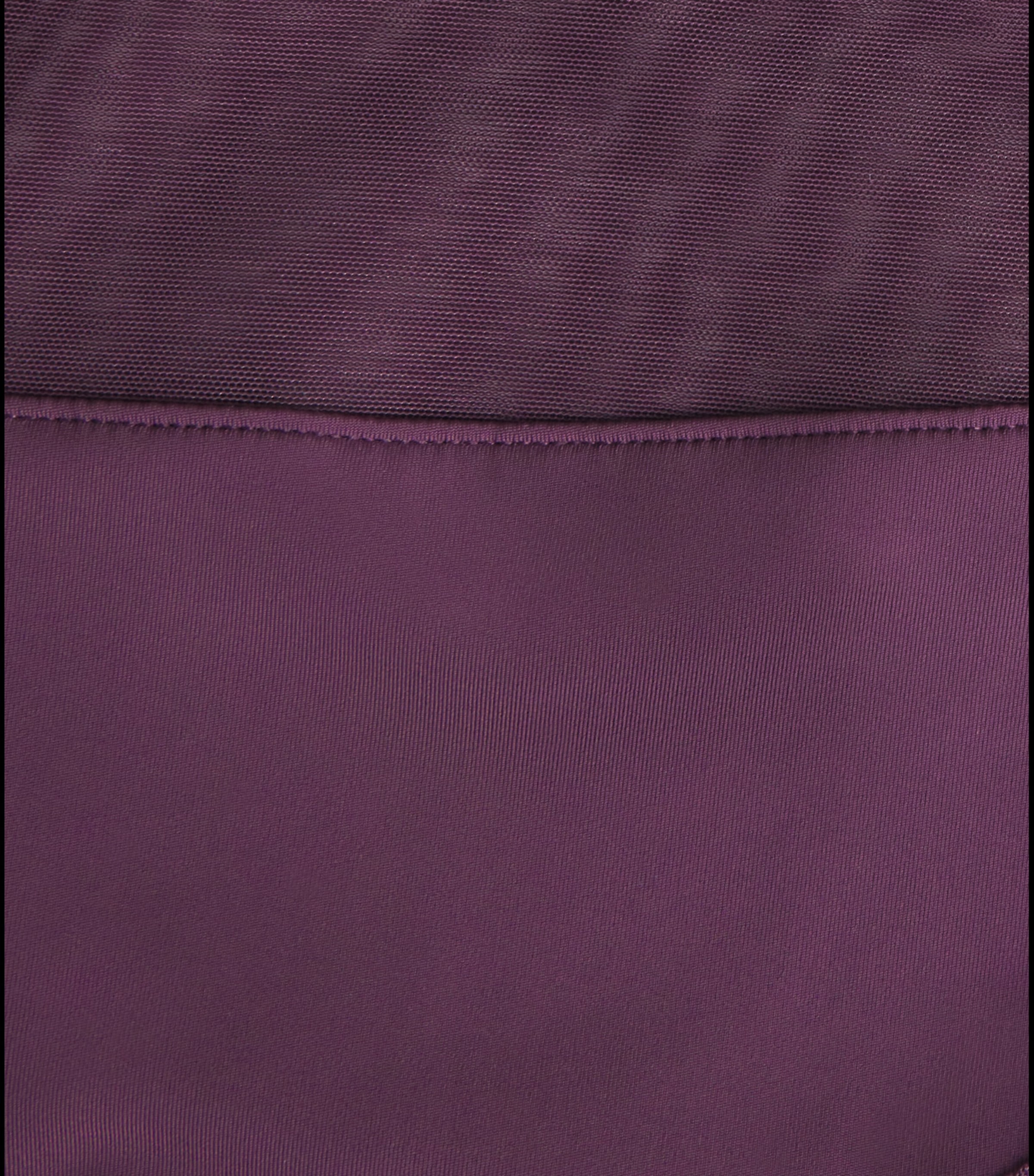 Sheer Opaque High-Rise Briefs 849 AUBERGINE Image 4