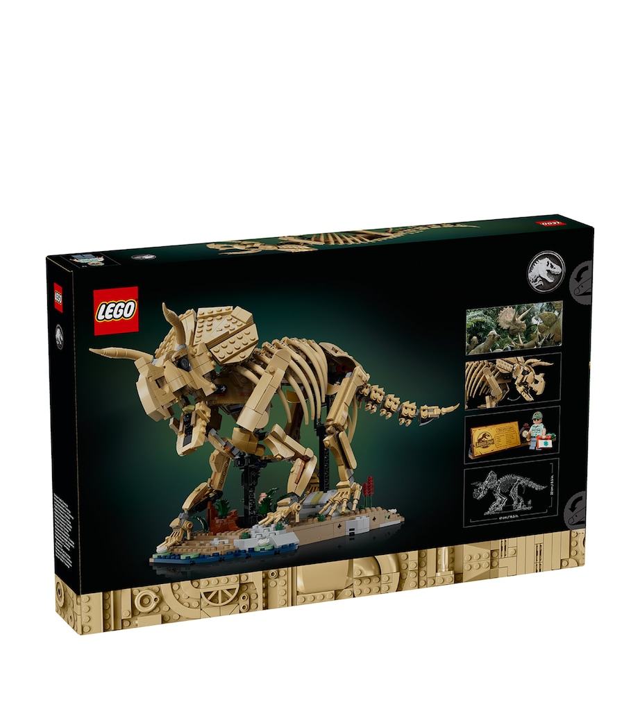 Lego Jurassic World Dinosaur Fossils: Triceratops 77985 Image 2