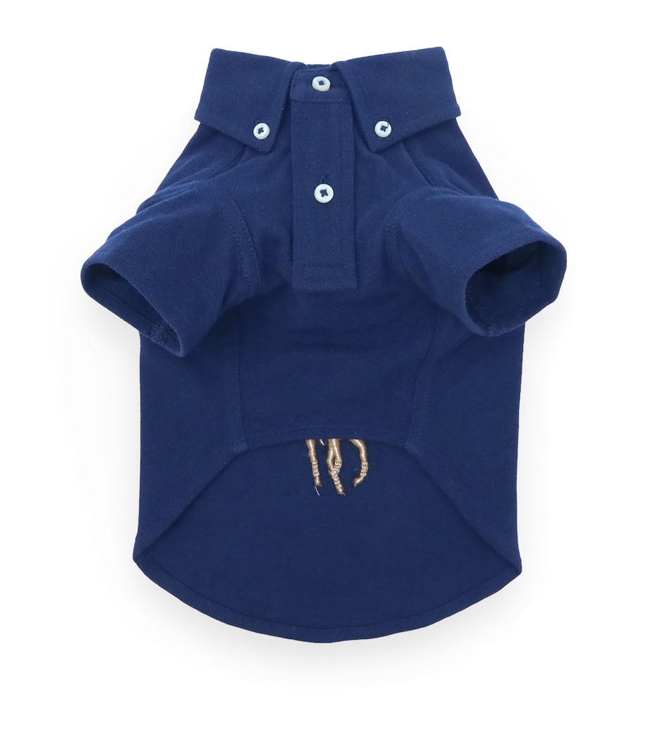 Mesh Cotton Polo Pony Dog Shirt (Extra Small) NEWPORT NAVY Image 2