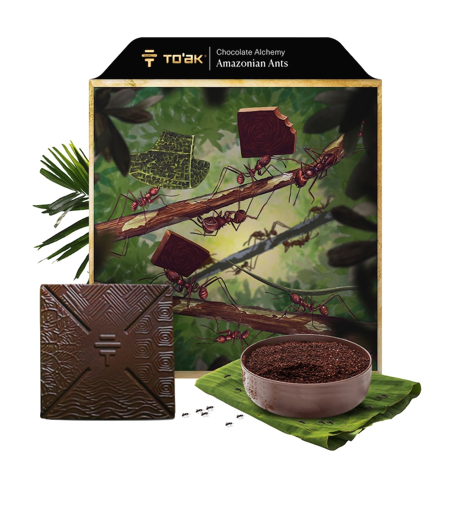 To'ak Mini Alchemy Amazonian Ants Chocolate (14g) Image 1
