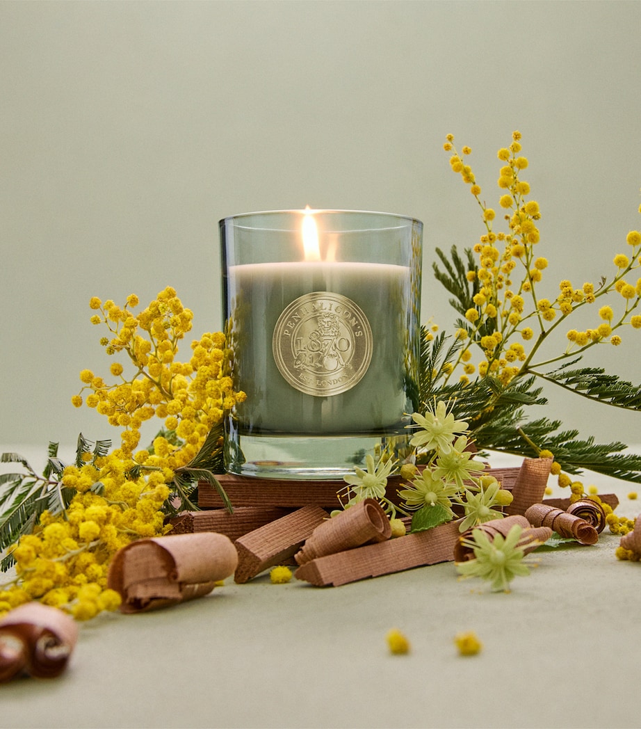 Penhaligon's Posh Home Highgrove Gardens Candle (200g) Image 3
