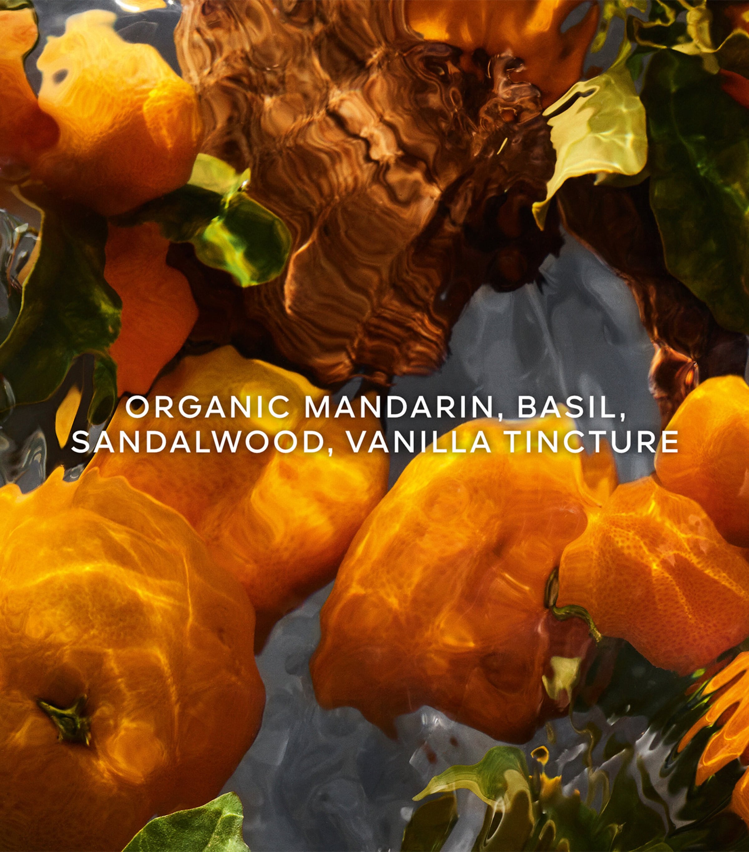 Aqua Allegoria Forte Mandarine Basilic Eau de Parfum (125ml) NO COLOUR Image 2