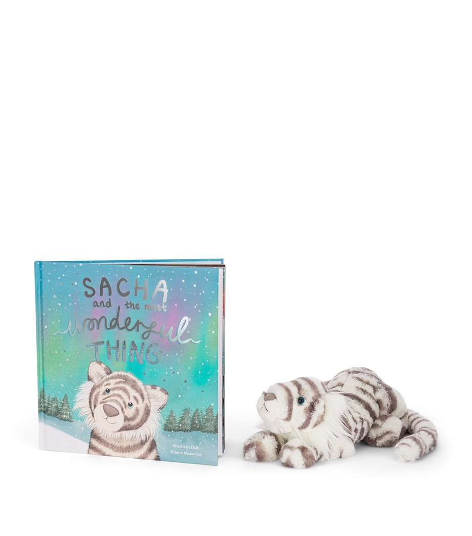 Sacha and the Most Wonderful Thing Book MULTI Image 5