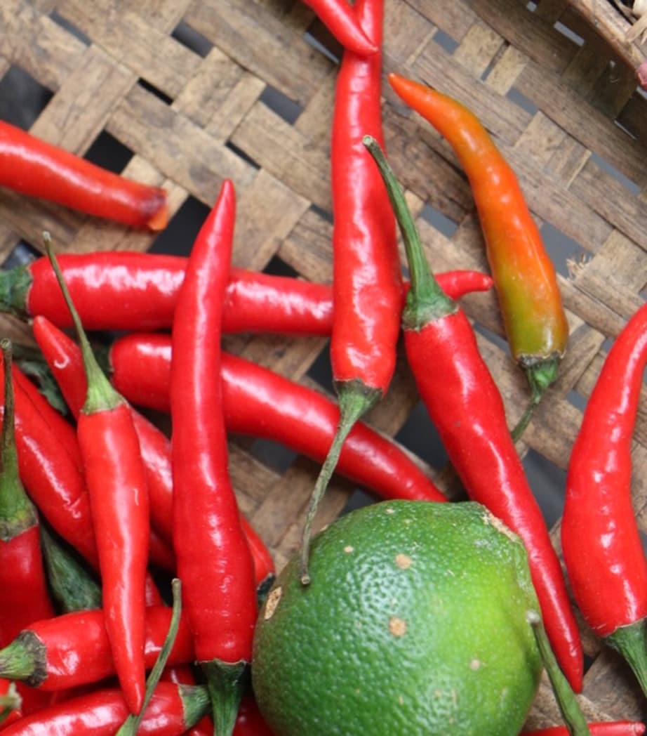 Citrus Batikanga Eau de Parfum (30ml) NO COLOUR Image 8