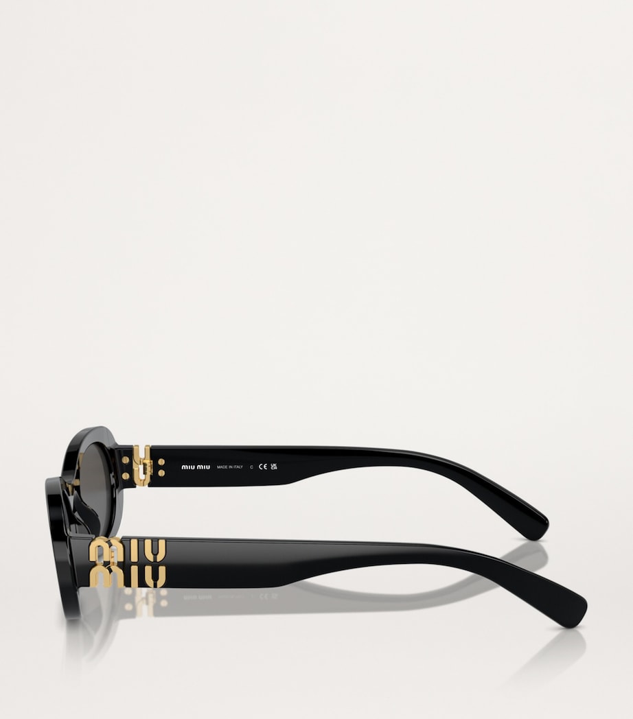 Acetate Oval Sunglasses 1AB5S0 Image 3