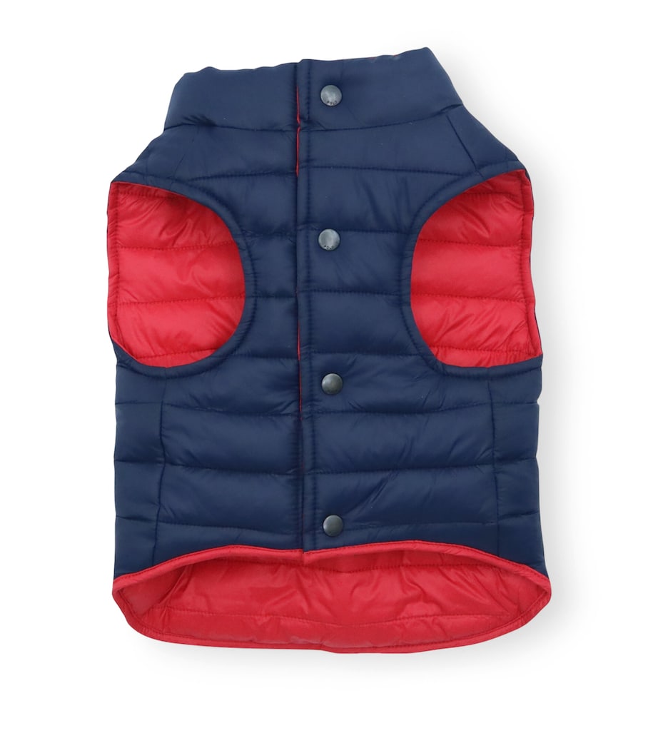 Reversible Puffer Dog Jacket (M) RED/HUNTER NAVY Image 7