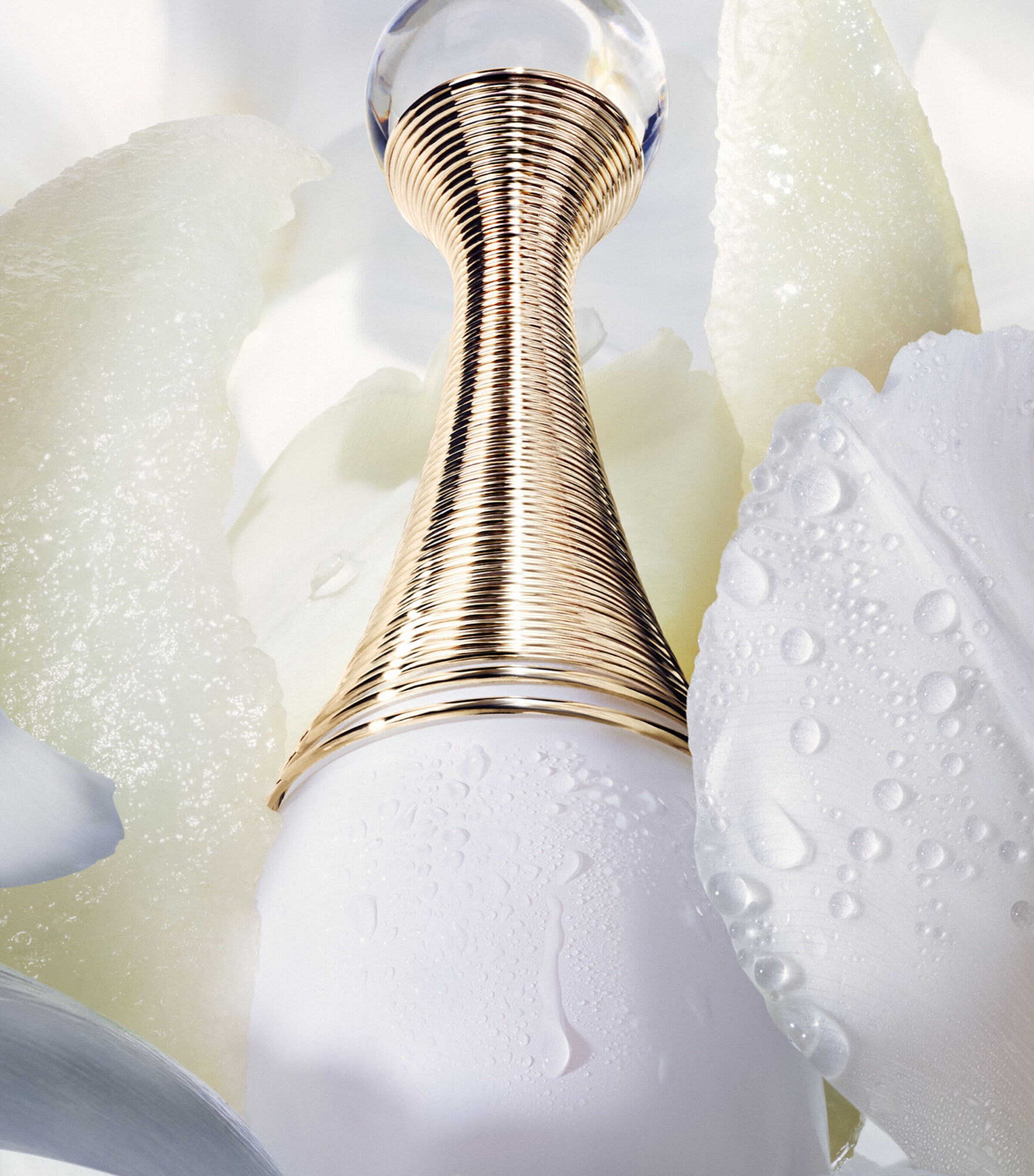 J'adore Parfum d'Eau (50ml) NO COLOUR Image 2