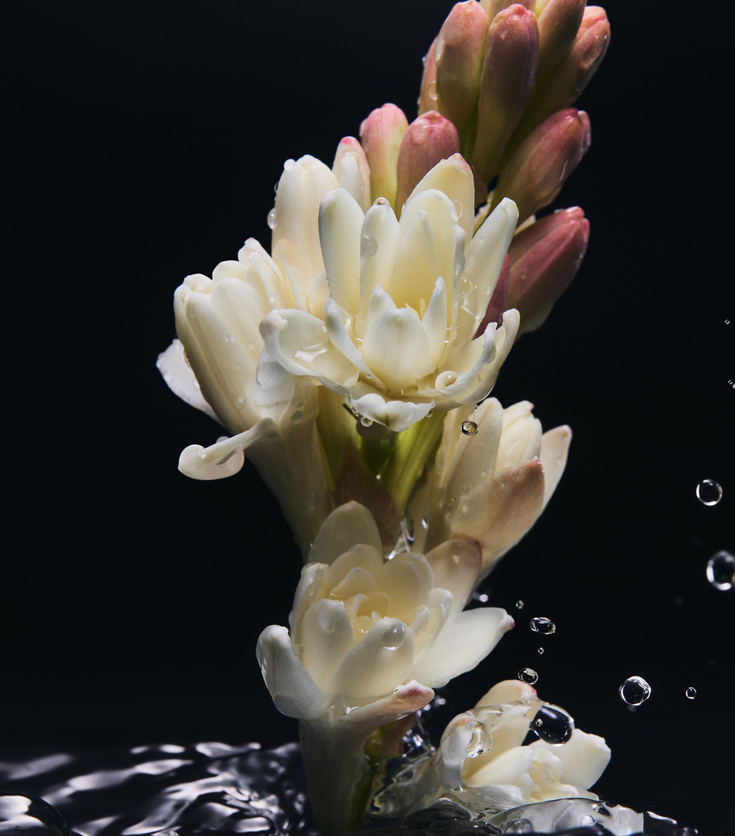 Velvet Desire Eau de Parfum (100ml) NO COLOUR Image 4