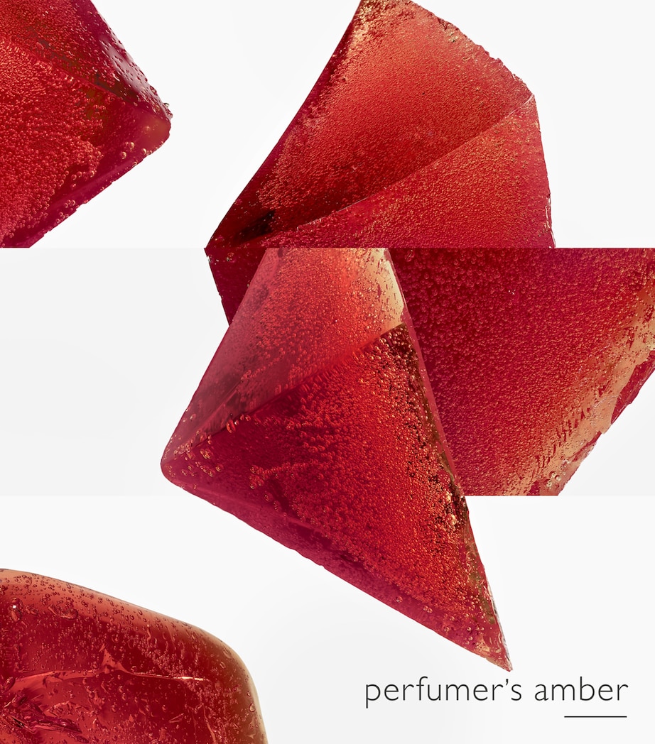 L'Ambre des Merveilles Eau de Parfum (50ml) NO COLOUR Image 3