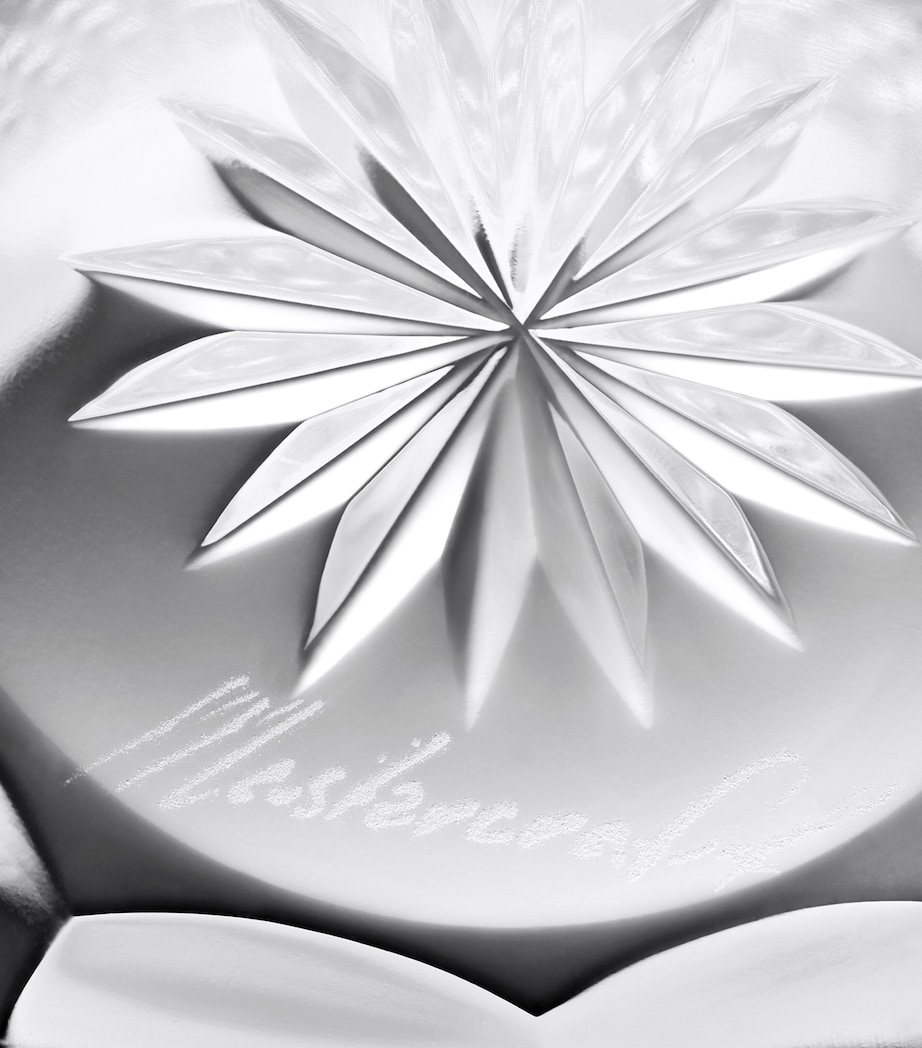 Set of 2 Crystal Copper Coast Tumblers CLEAR Image 3