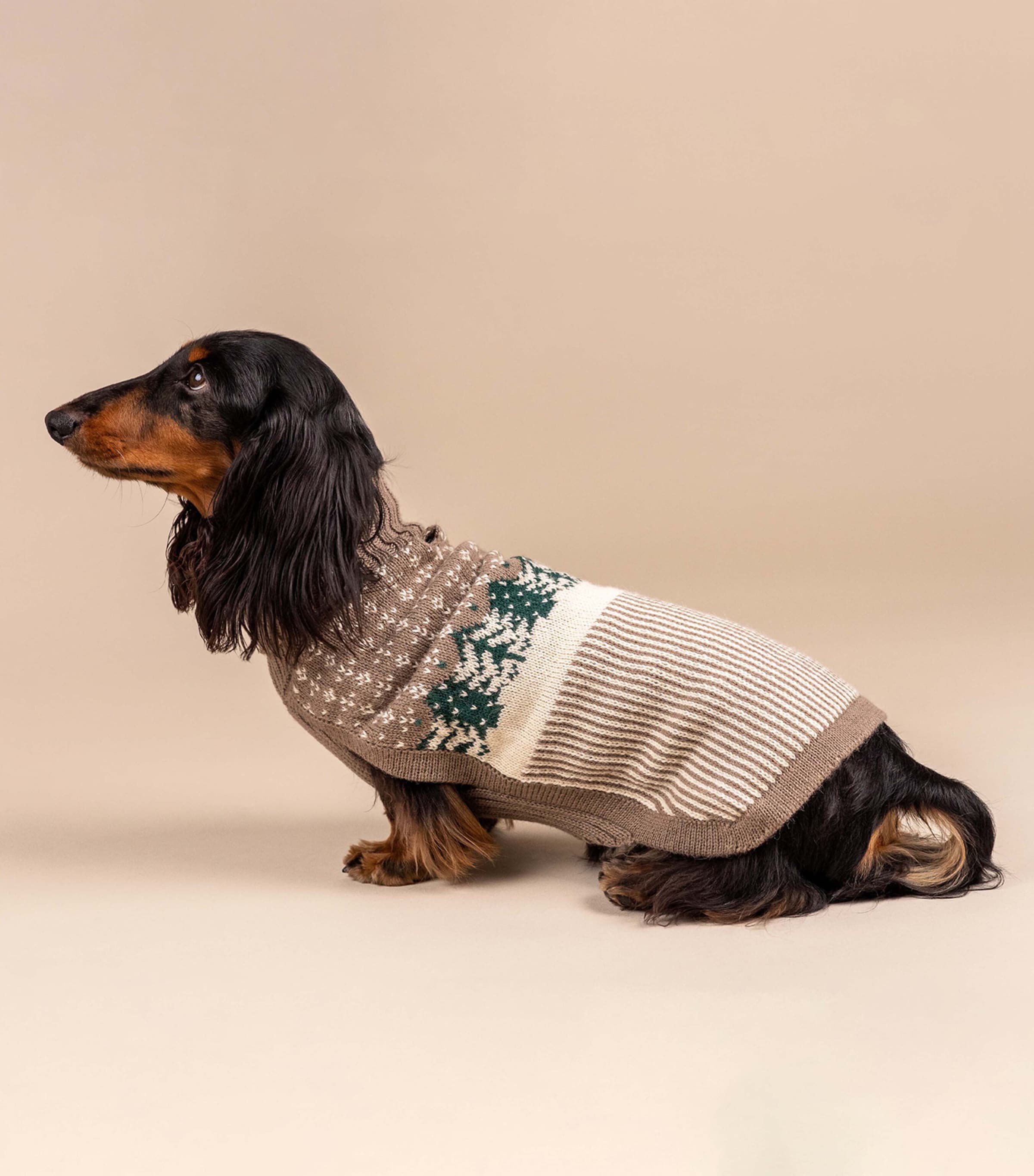 ALQO WASI Alpaca-Blend Frosted Grove Dog Sweater (X-Small) Frosted Grove Image 4