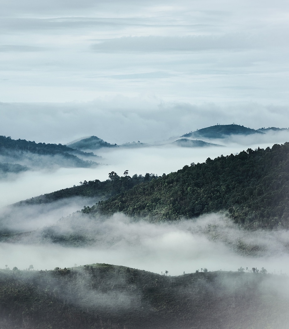 Orchidée Impériale The Oil In Gel Make-Up Remover (150ml) NO COLOUR Image 5