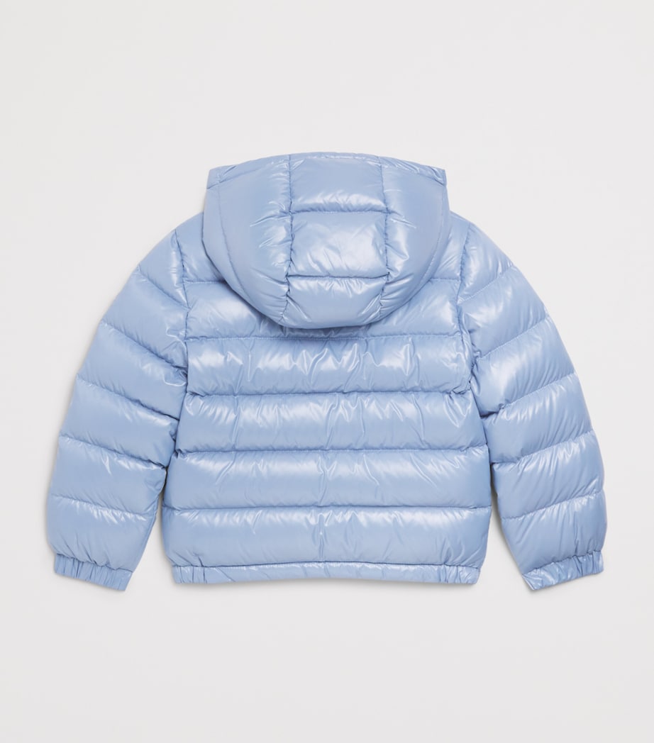 Moncler Enfant Down Aubert Hooded Jacket (4-6 Years) Image 2
