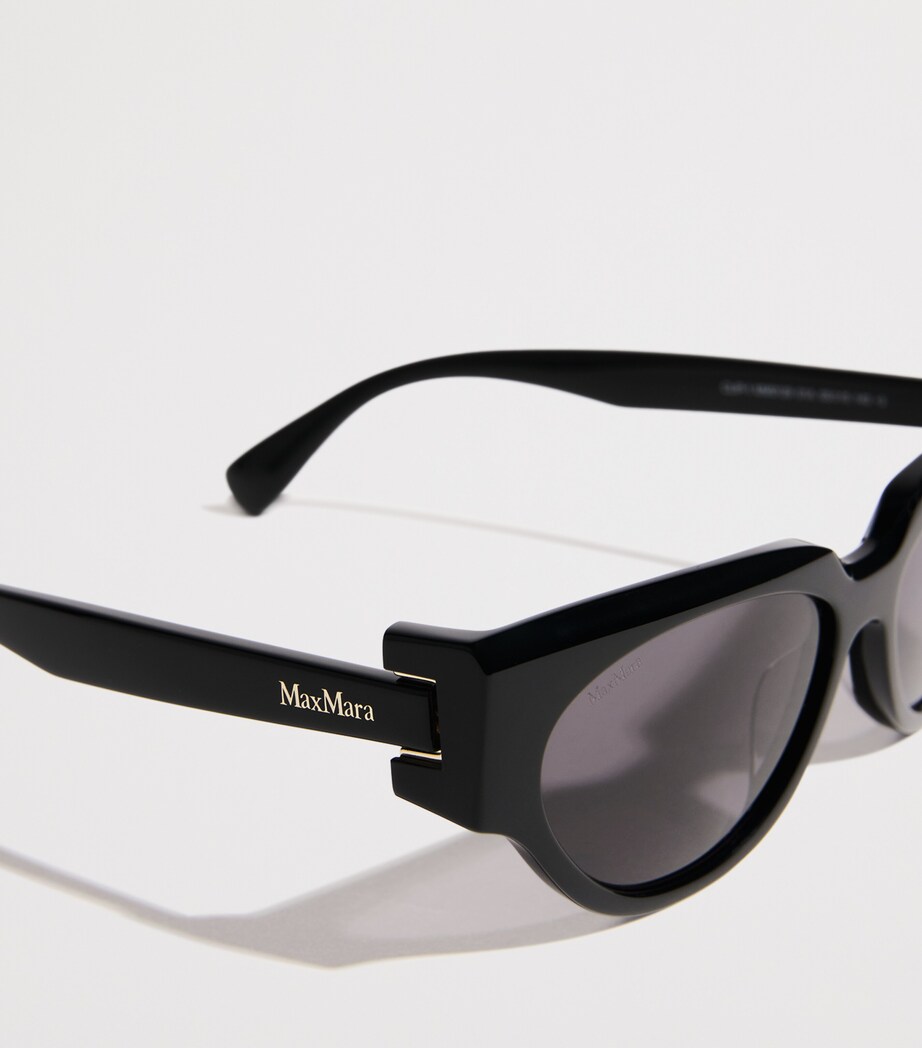 Acetate Oval CLIP1 Sunglasses BLACK Image 5