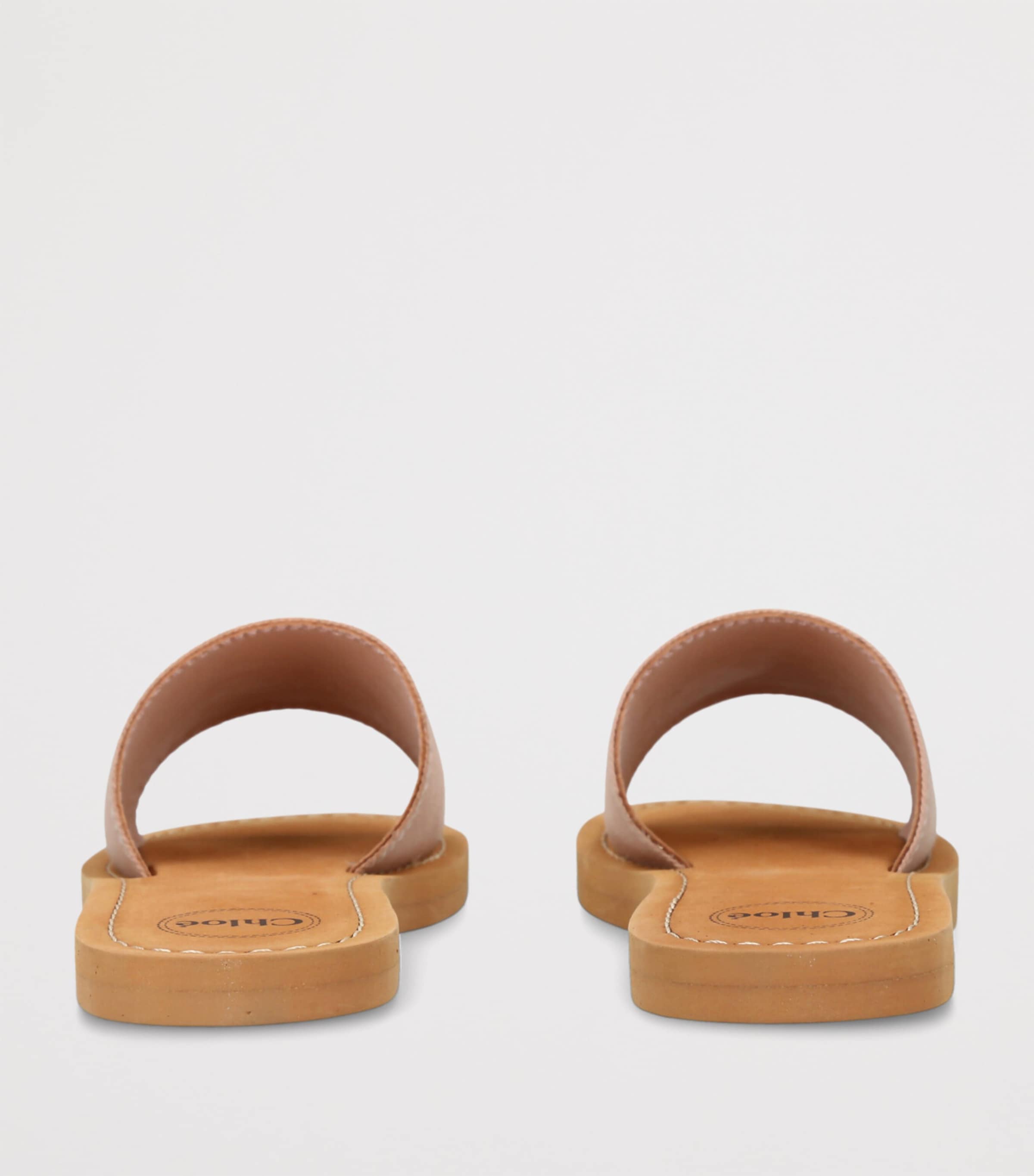 Canvas Logo Slides PALE PINK Image 2