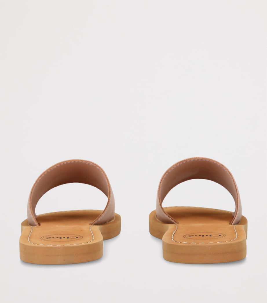 Canvas Logo Slides PALE PINK Image 2