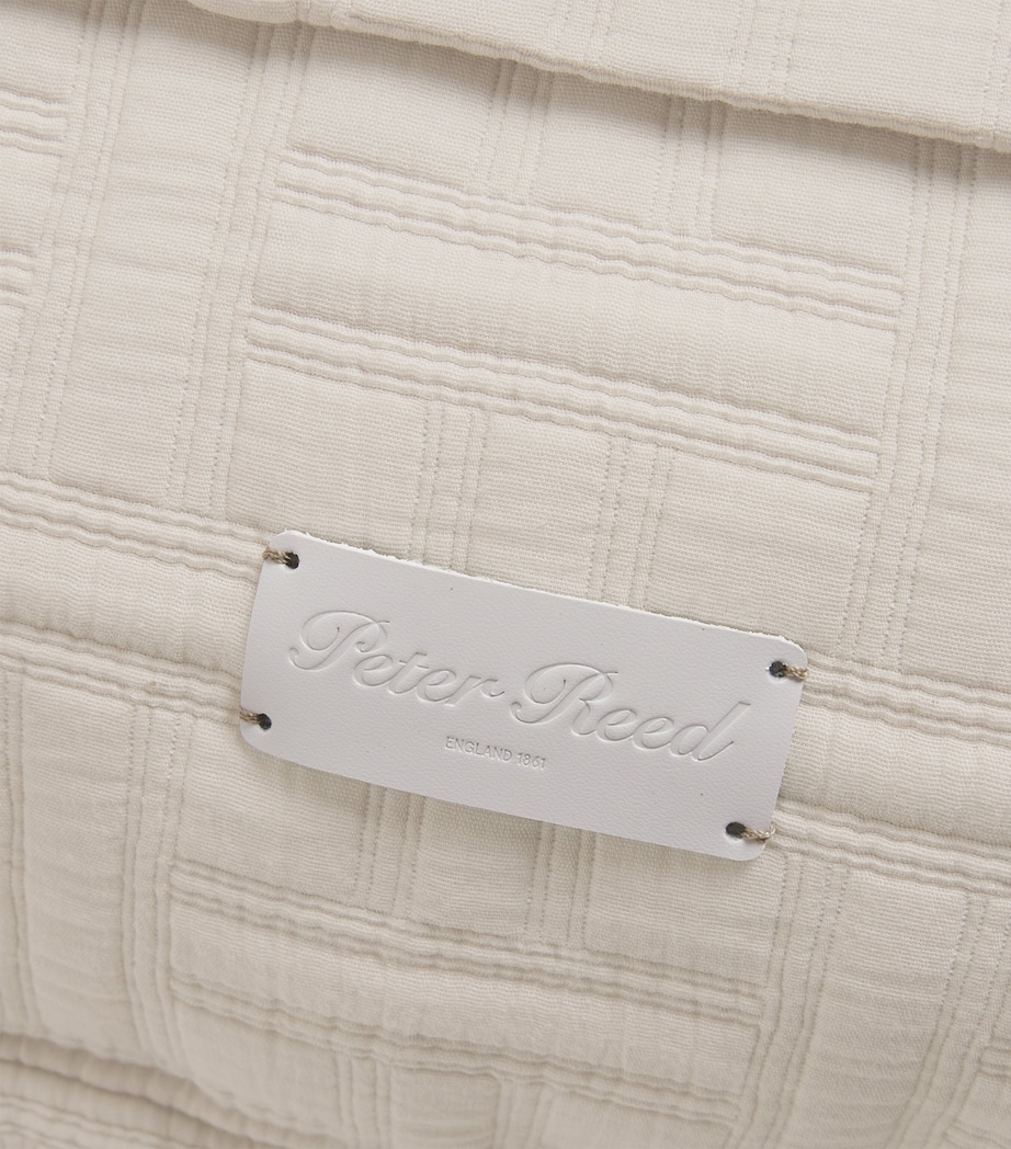 Peter Reed Embroidered Kengo Oxford Cushion (60cm x 45cm) Neutral Image 3