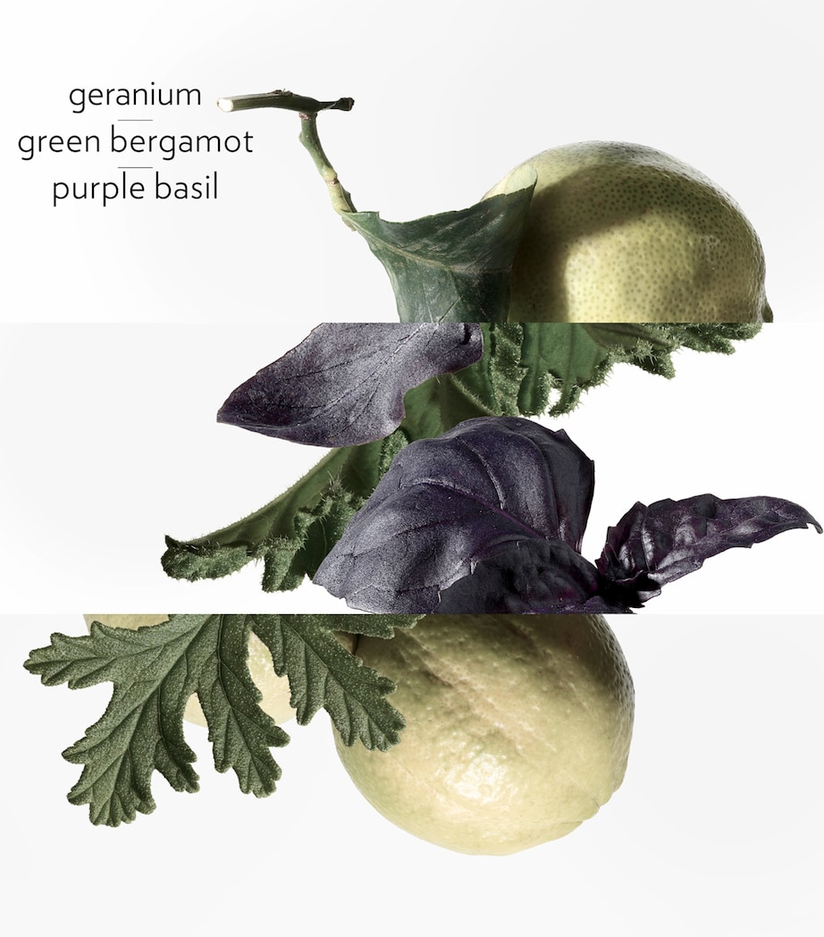 Eau de Basilic Pourpre Eau de Cologne (100ml) NO COLOUR Image 2