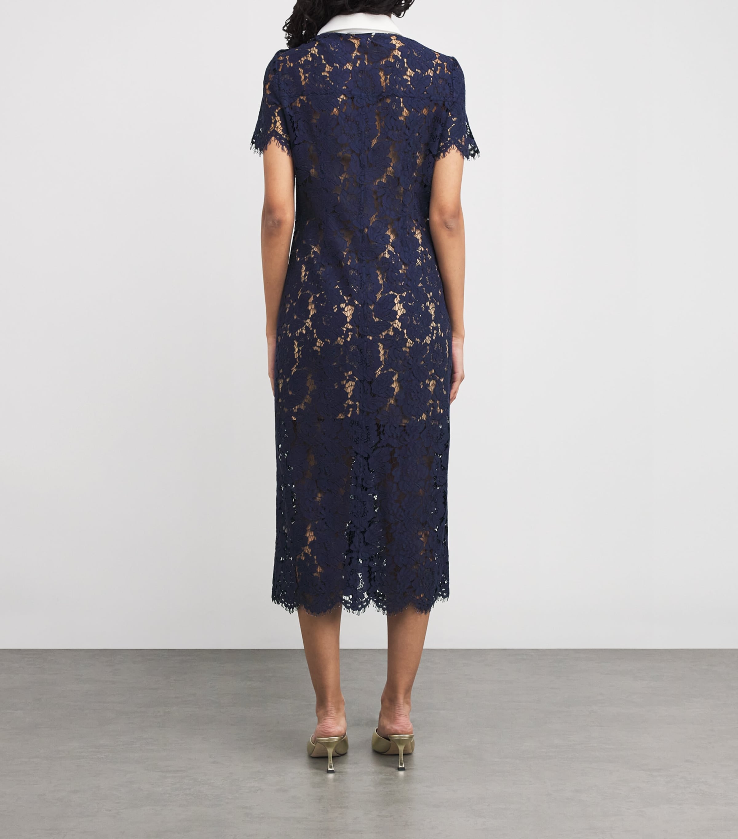 Lace Collared Midi Dress BLUE Image 3
