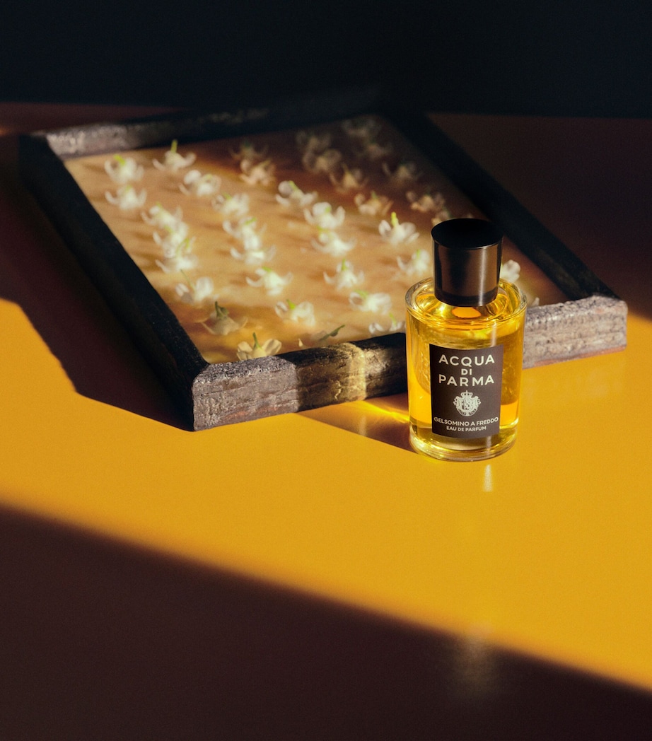 Gelsomino a Freddo Eau de Parfum (100ml) NO COLOUR Image 3