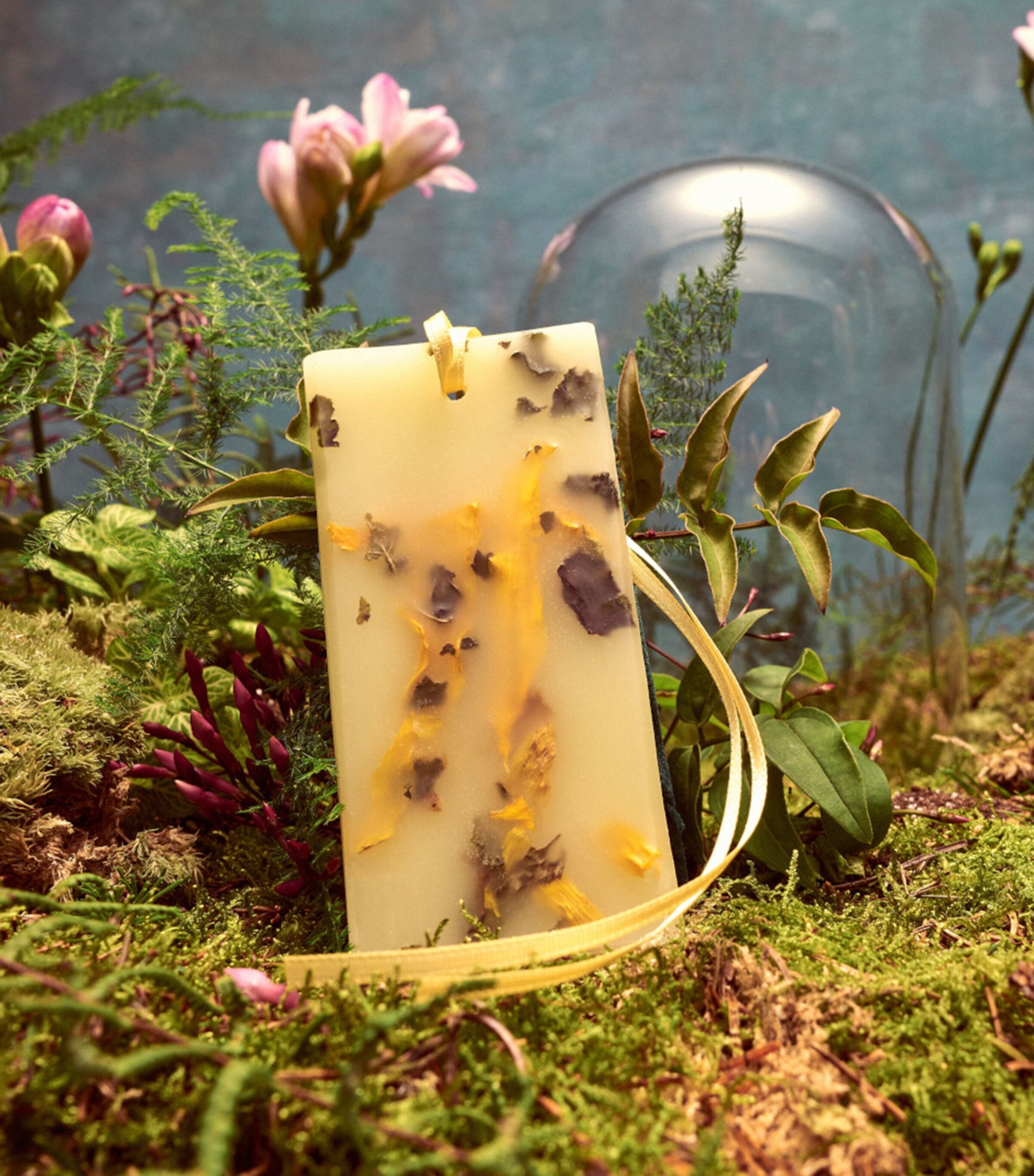 Fresia Wax Tablets NO COLOUR Image 2