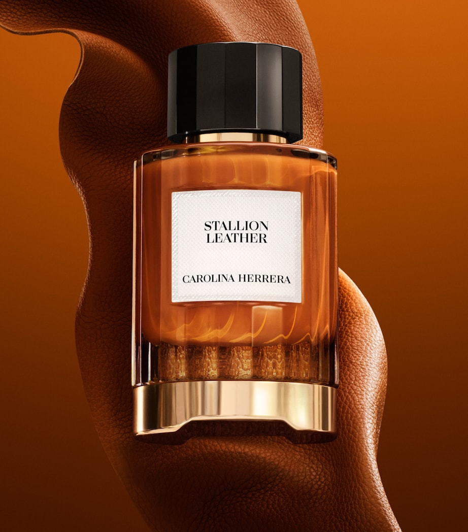 Stallion Leather Eau de Parfum (100ml) NO COLOUR Image 5