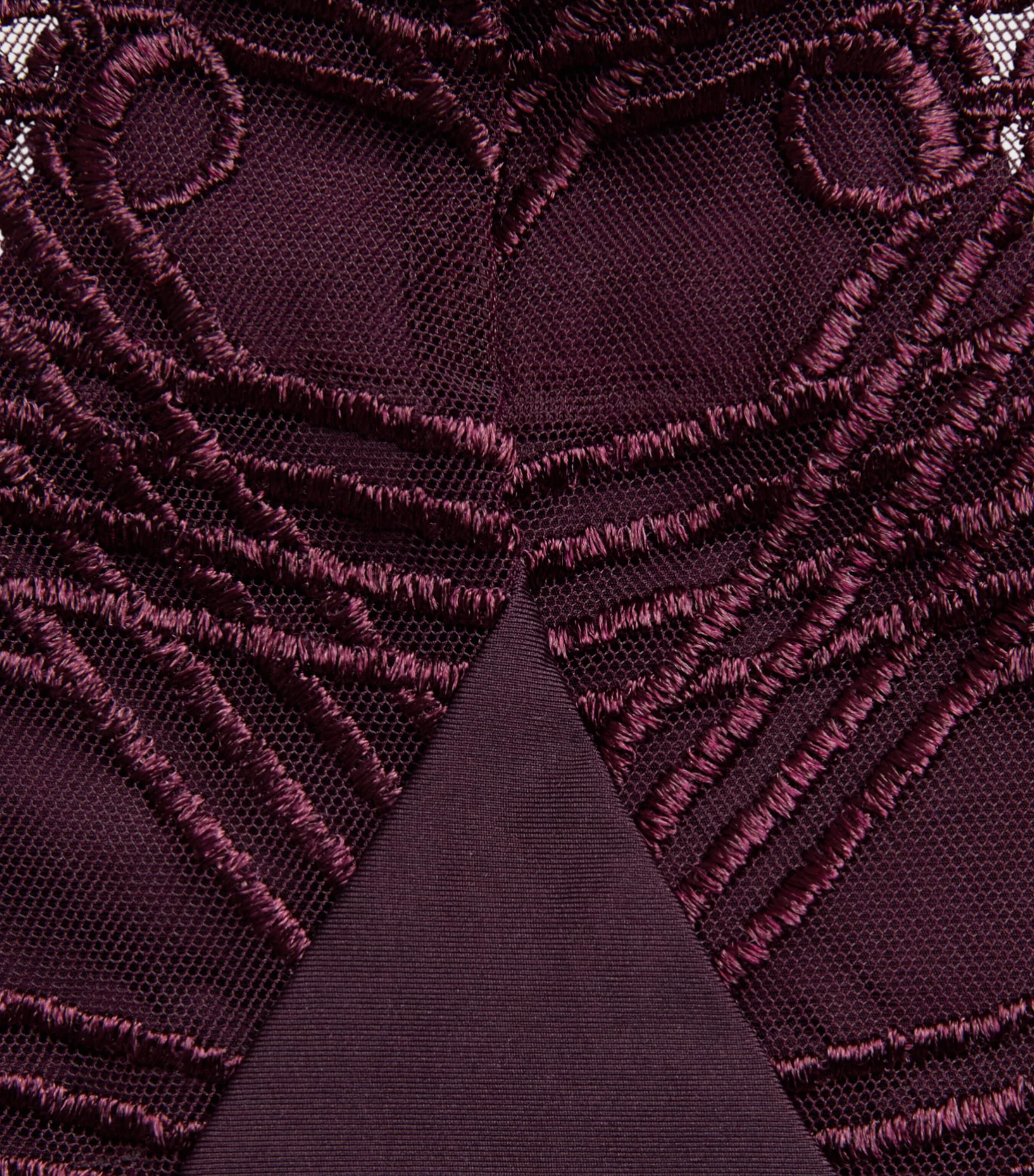 Aubade Womens Eloge du Désir Briefs Deep Berry Image 4