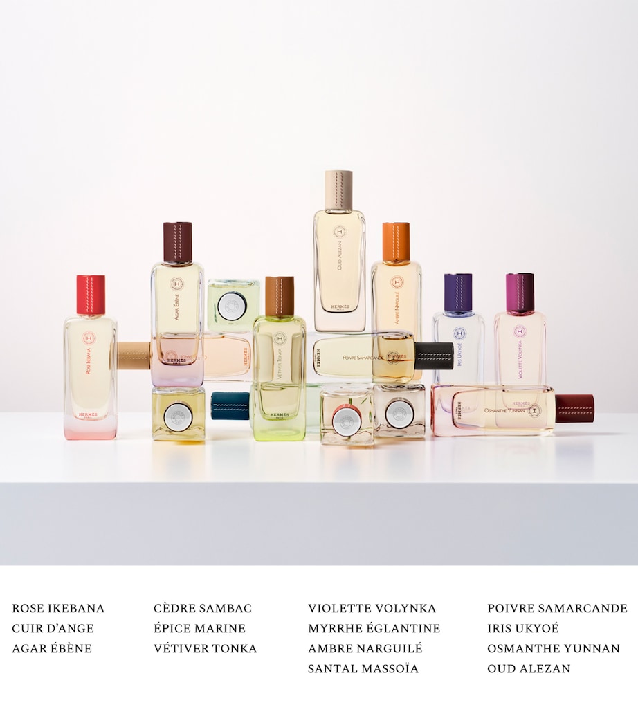 Hermessence Oud Alezan Eau de Parfum (100ml) NO COLOUR Image 6