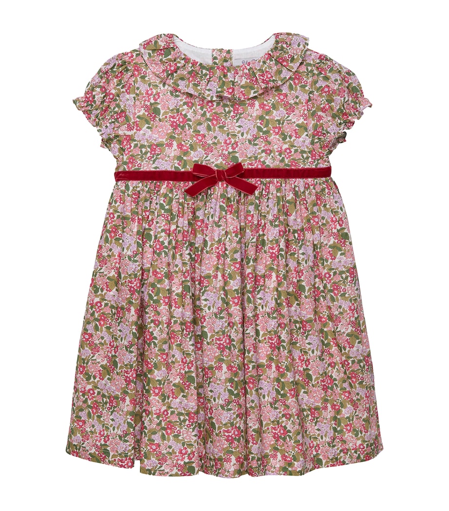 Cotton Liberty Print Willow Dress (2-5 Years) RED HEDGEROW Image 1