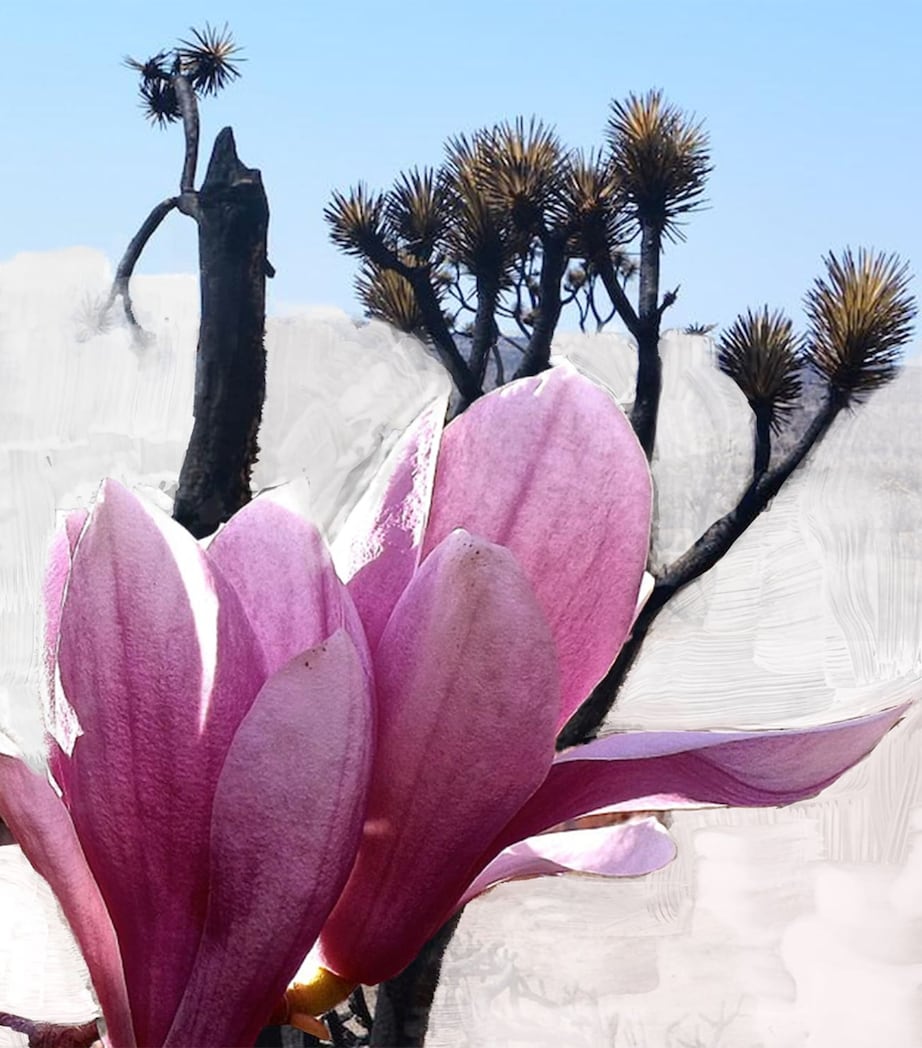 Byredo Mojave Ghost Body Wash (450ml) Image 3