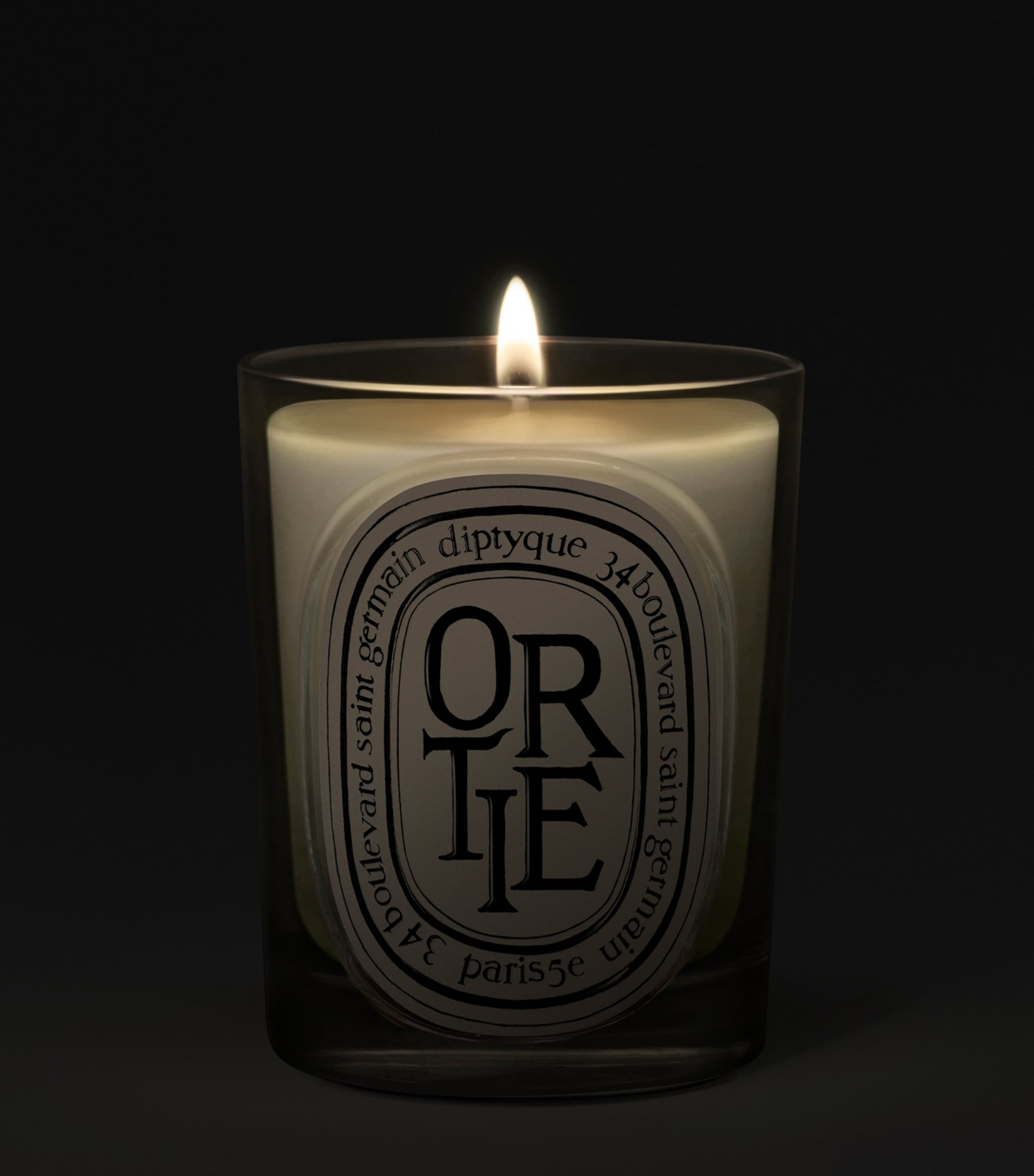 Diptyque Ortie Candle (190g) Image 2