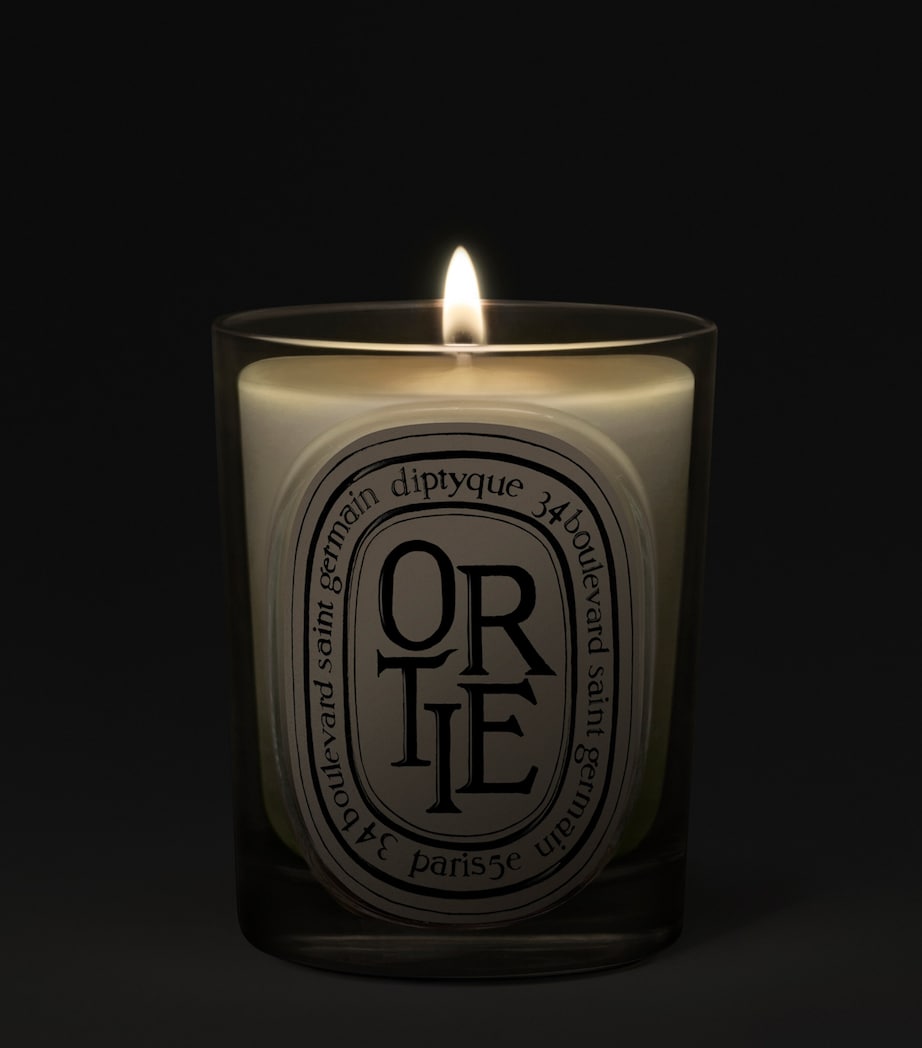 Diptyque Ortie Candle (190g) Image 2