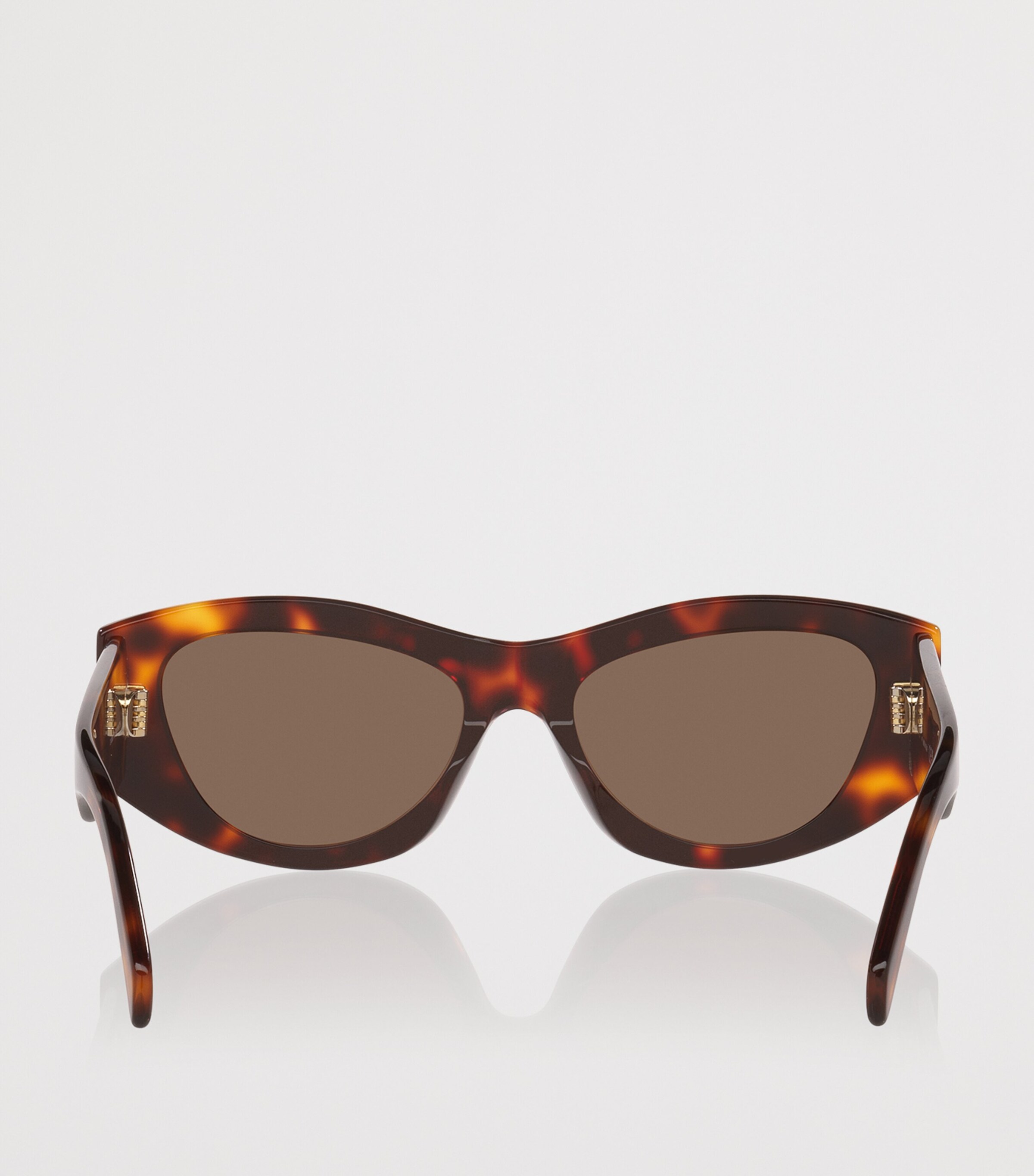 Celine Tortoiseshell Triomphe CL40308U Irregular Sunglasses Image 4