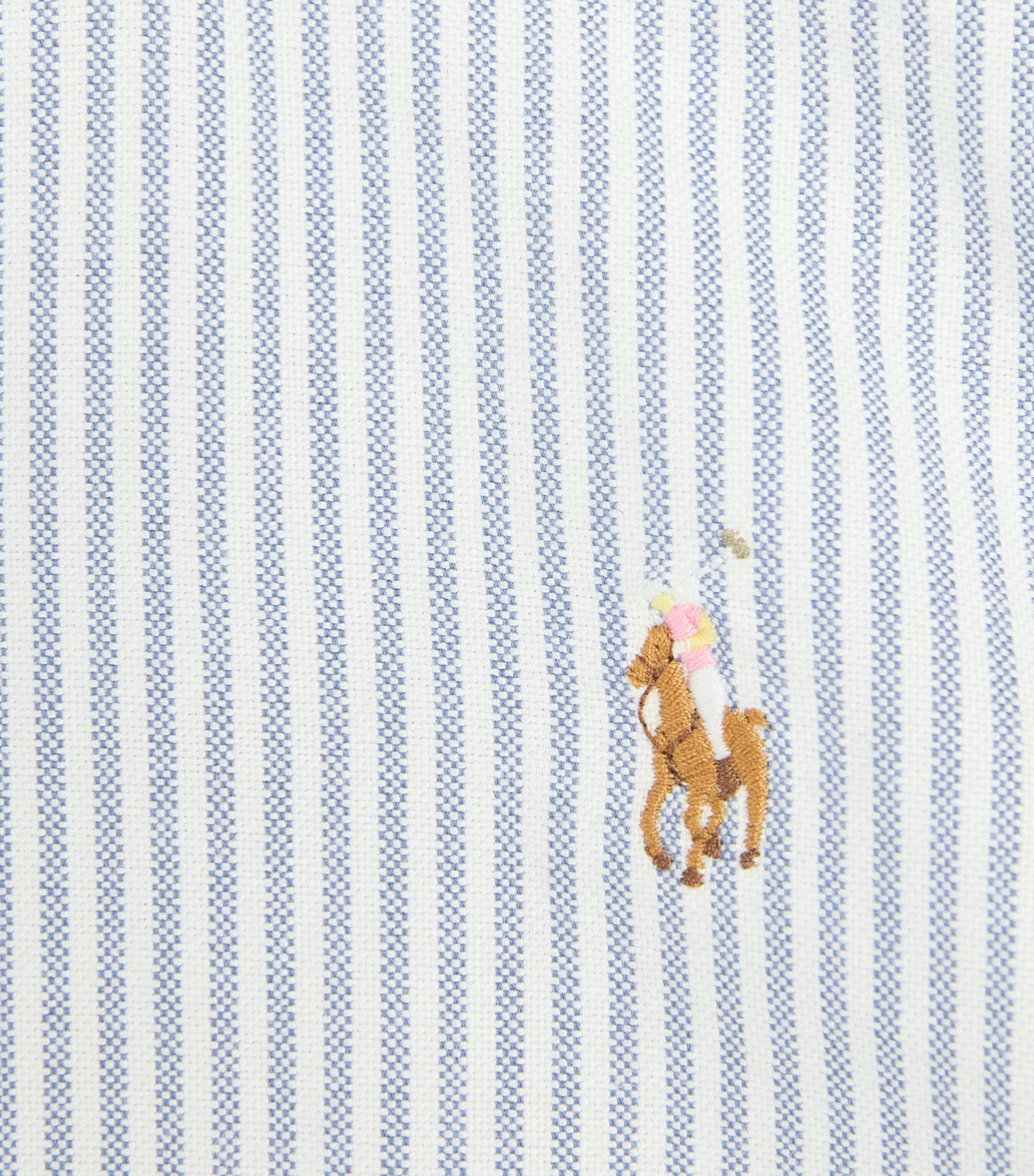 Ralph Lauren Kids Cotton Stripe Shirt Dress (8-16 Years) Bsr Blue/white Image 3