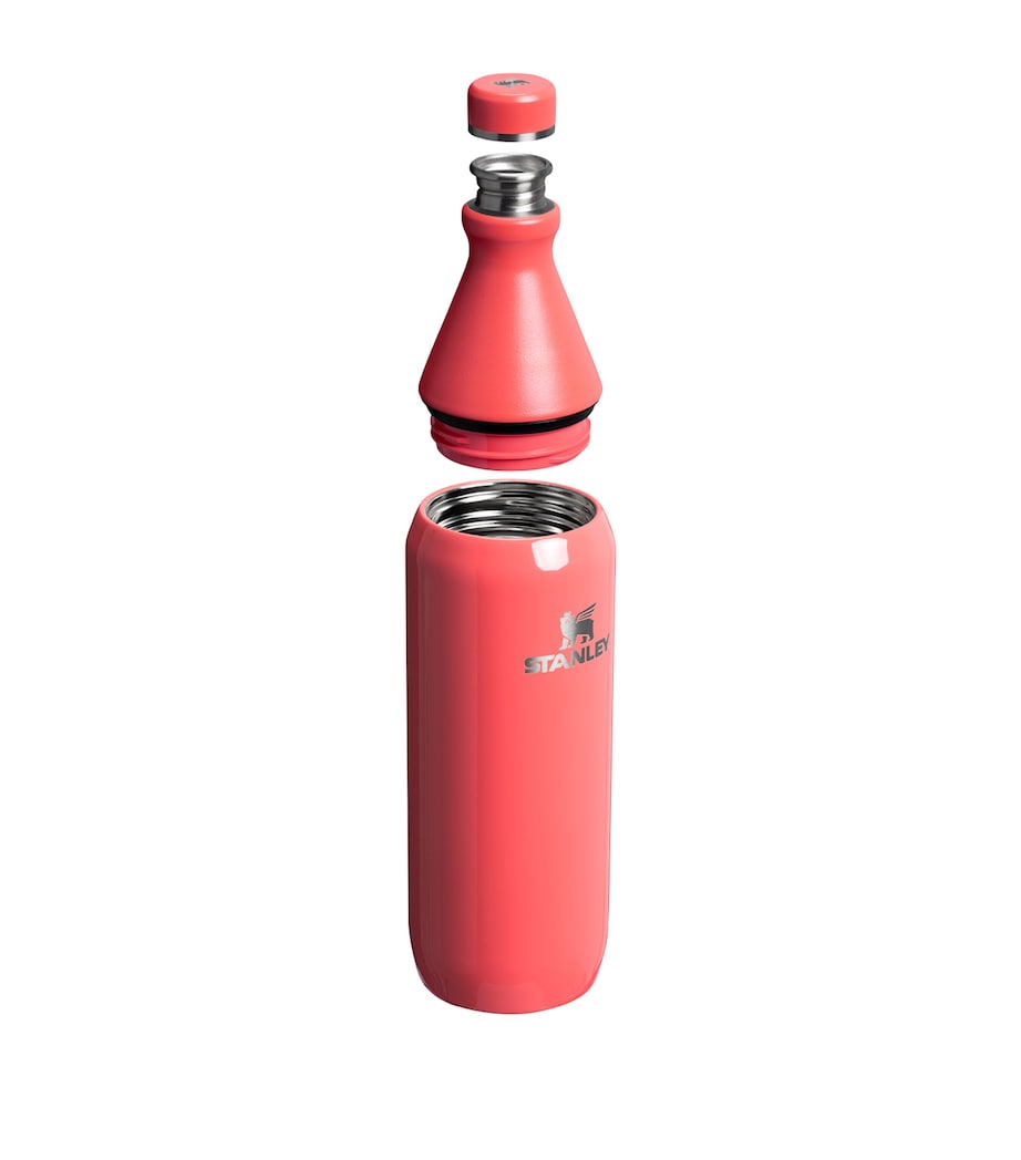 All Day Slim Bottle (600ml) HOT CORAL GLOSS Image 2