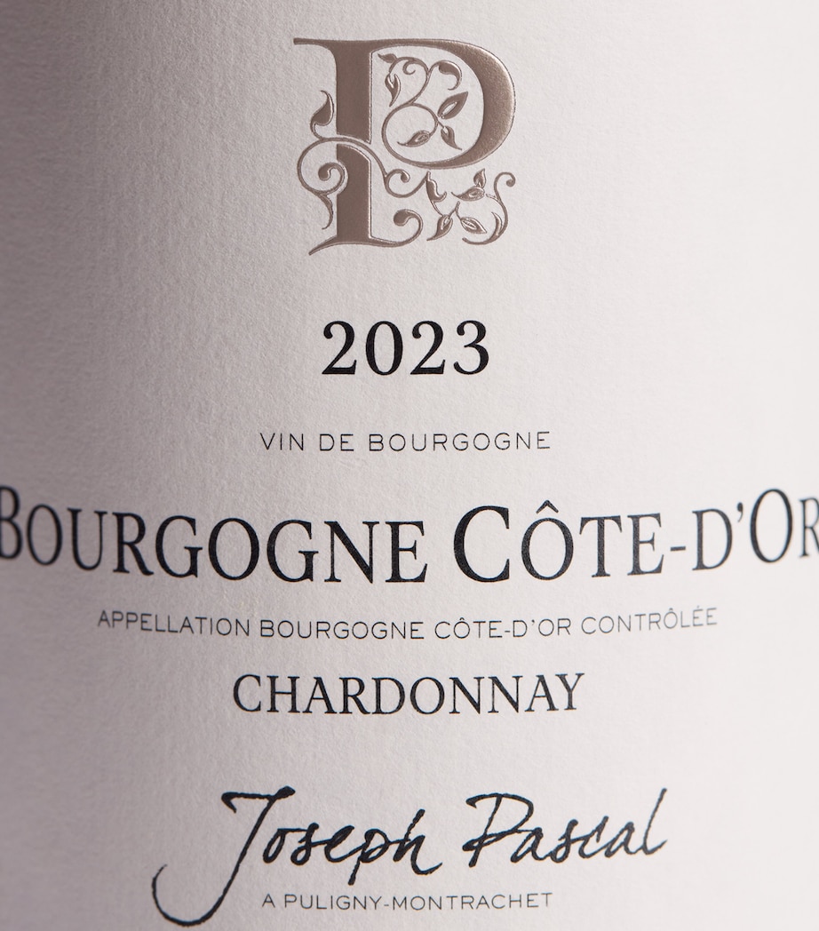 Domaine Jean Pascal Domaine Jean Pascal Côte d'Or Chardonnay 2023 (75cl) - Burgundy, France Image 2