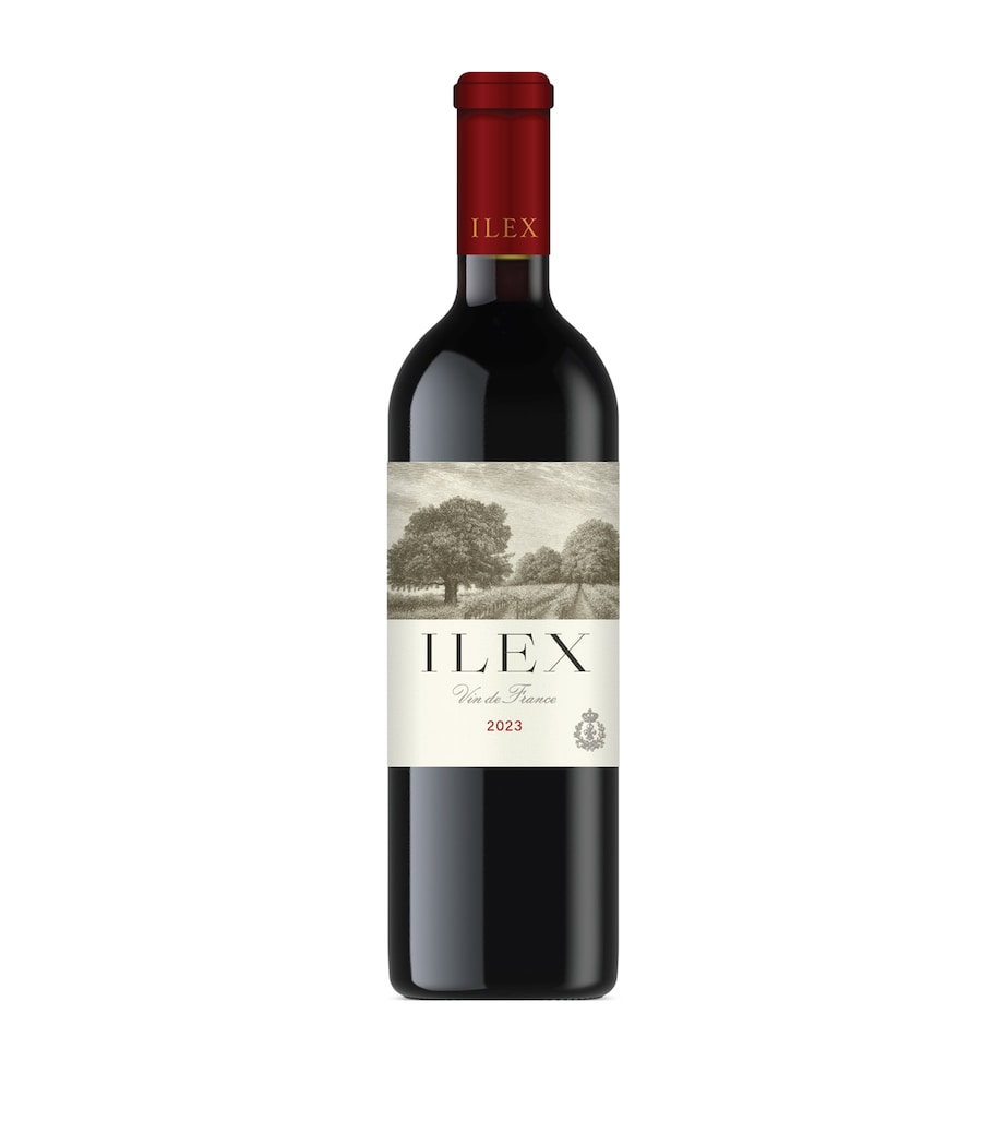 Wild Idol ILEX Wild Idol 2023 Wine Case - Bordeaux, France Red Image 1