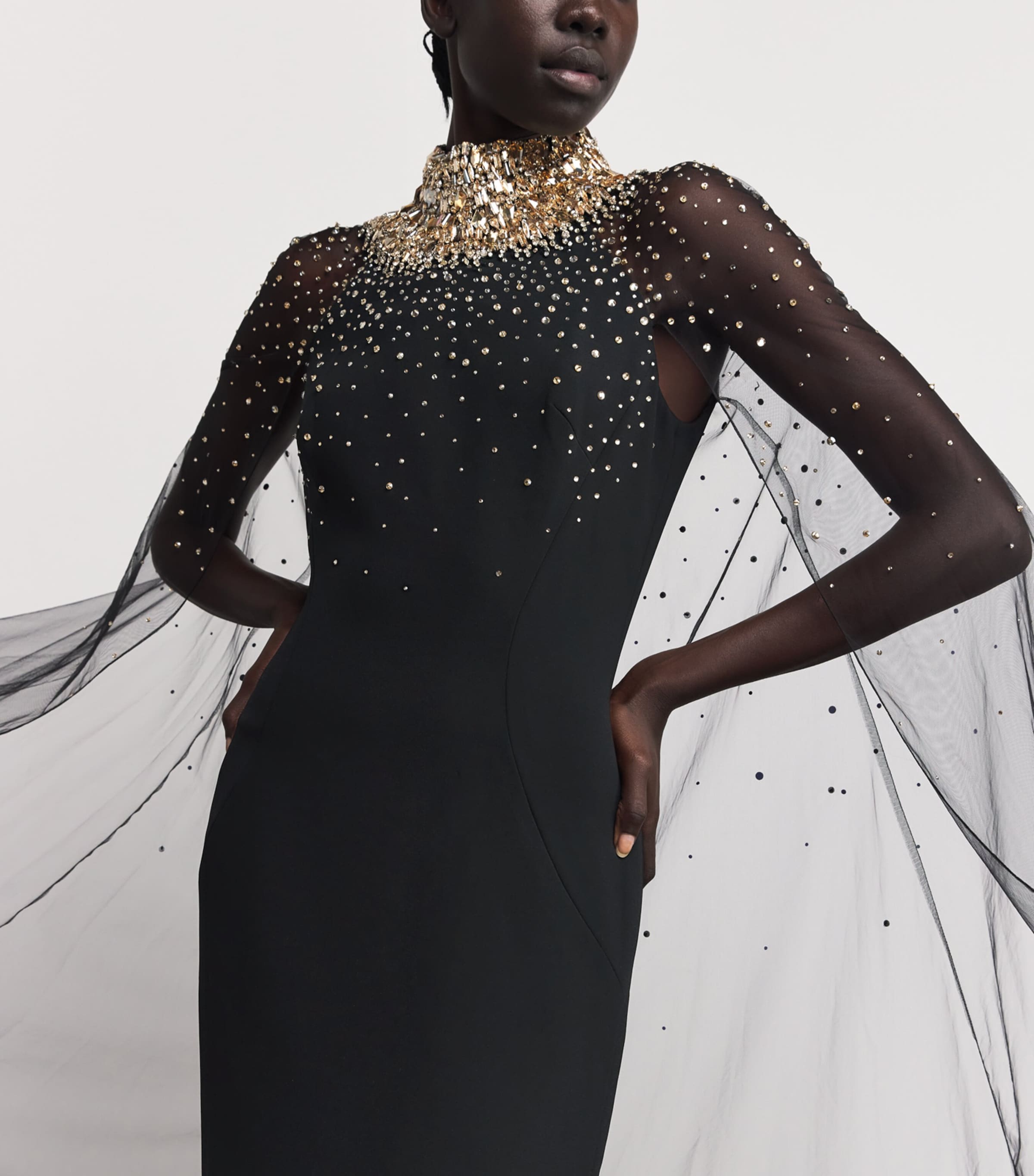 Embellished Cape Zadie Gown LIQUORICE Image 4