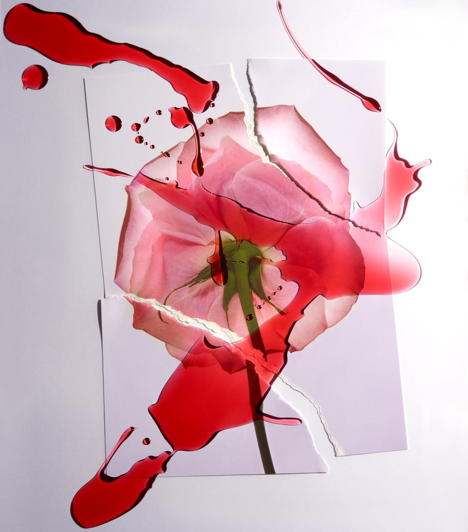 Spiky Muse Eau de Parfum (50ml) NO COLOUR Image 5