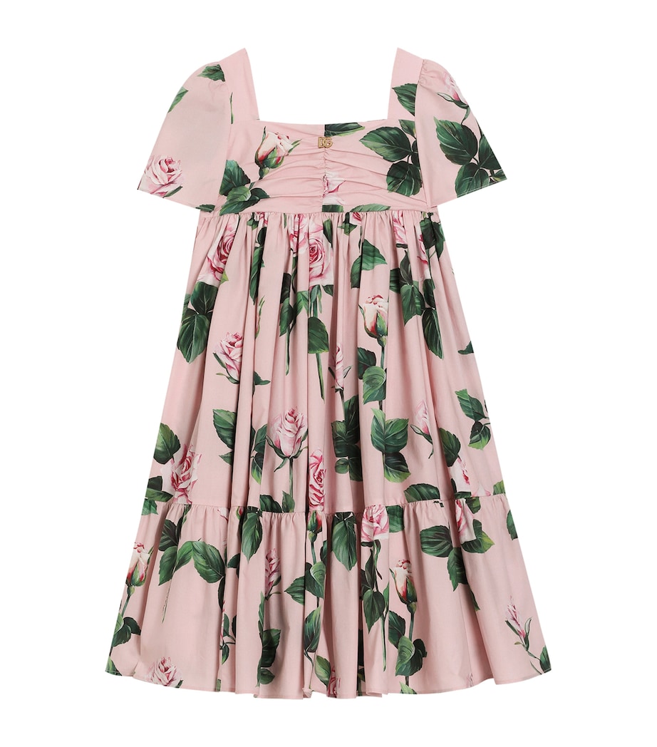 Floral Print Dress (8-12+ Years) HF5IZ-ROSE Image 1