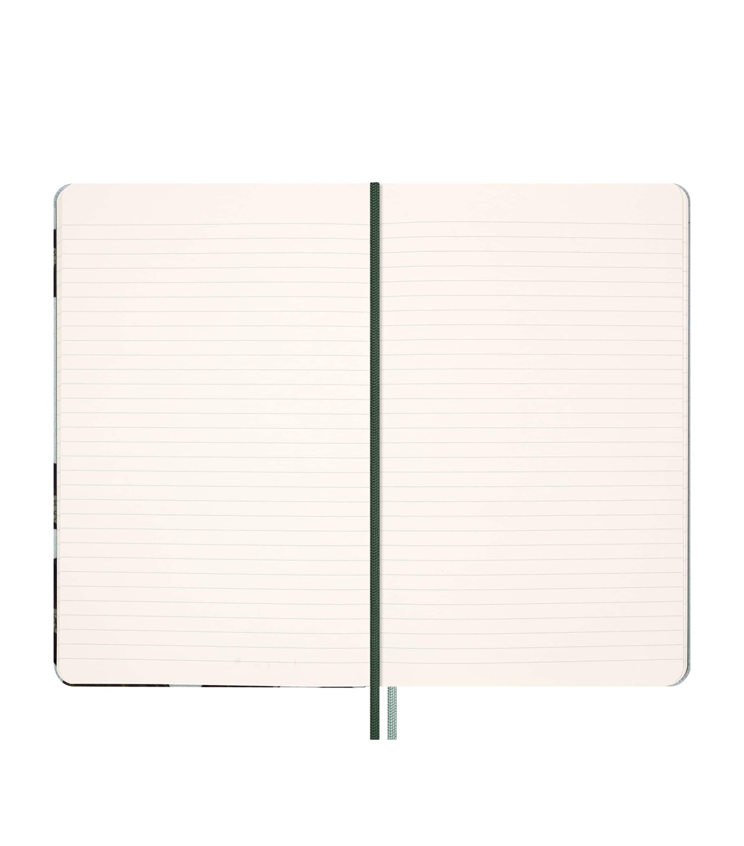 Year of the Snake Luxury Collector's Box GREEN Image 2