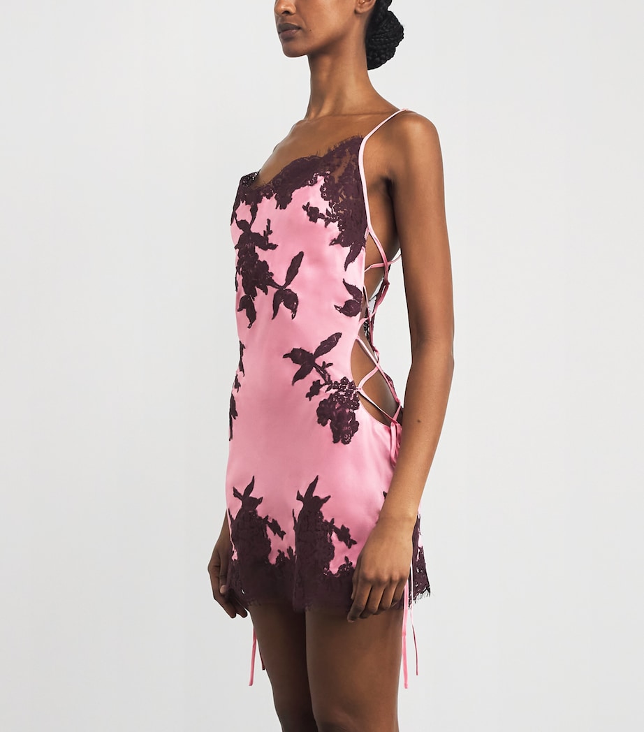 Marjolaine Womens Silk-Lace Mini Slip Dress Blush/brun Image 4