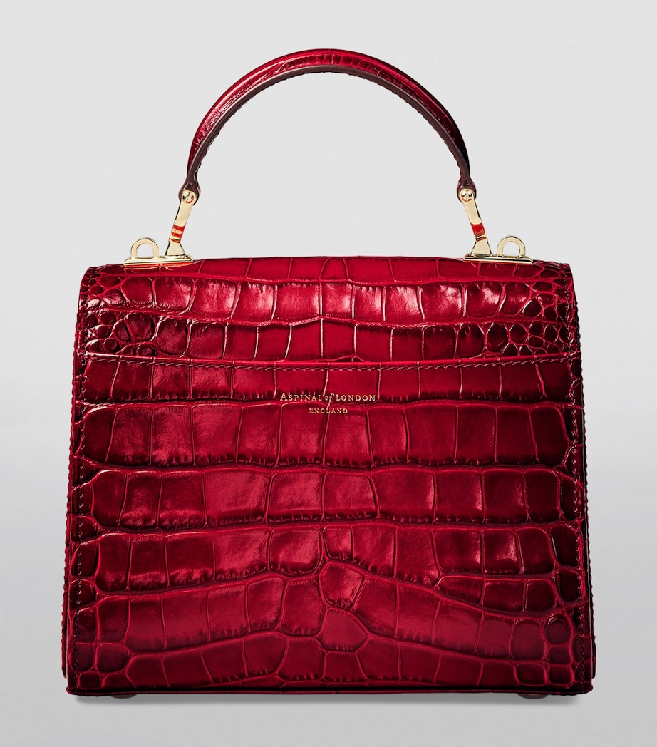 Midi Mayfair Top-Handle Bag CHERRY OMBRE Image 3