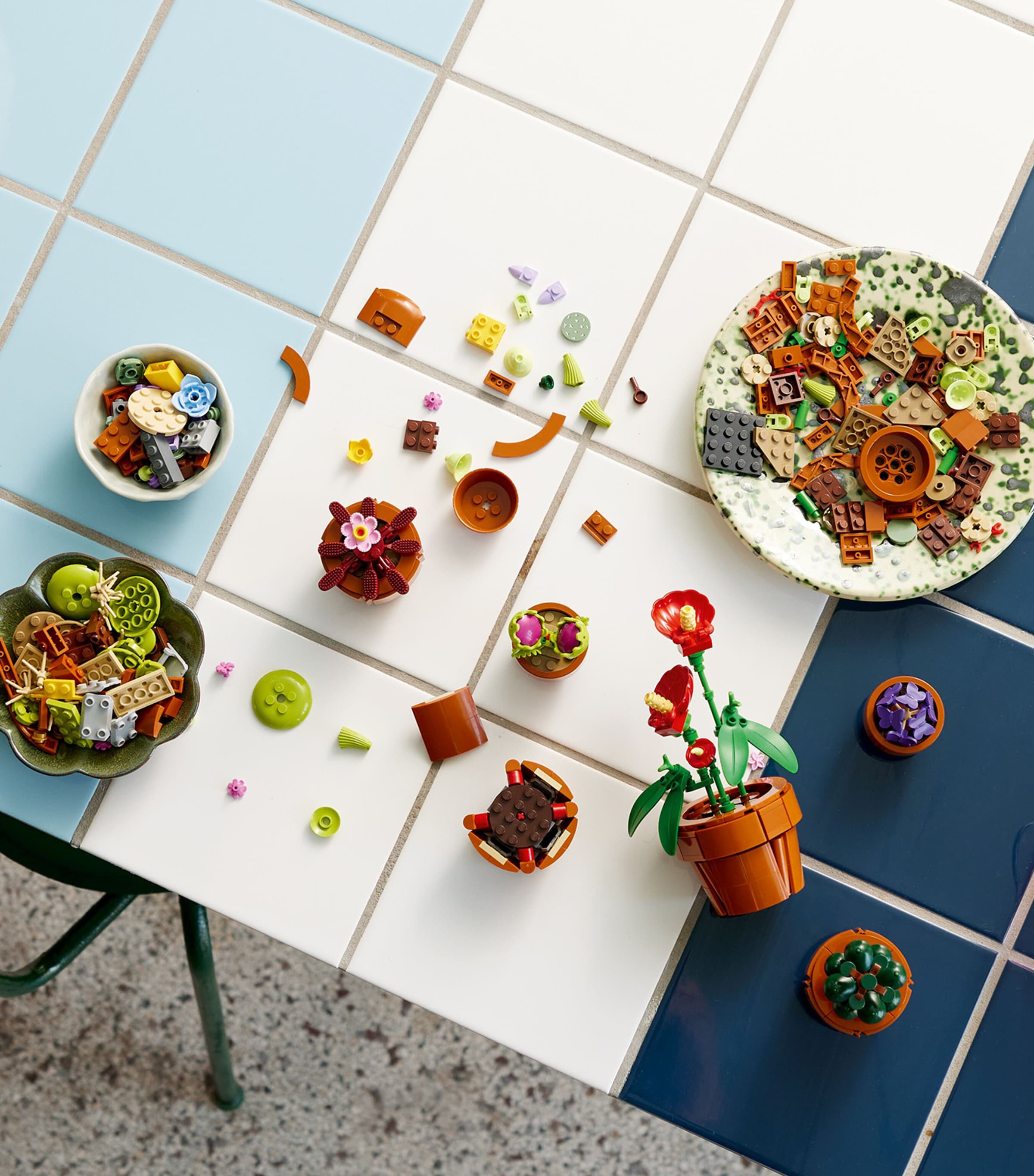 Lego Icons Tiny Plants Collection 10329 Image 2