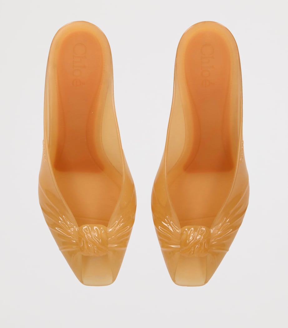 Chloé Jelly Heeled Mules 30 Brown Image 4