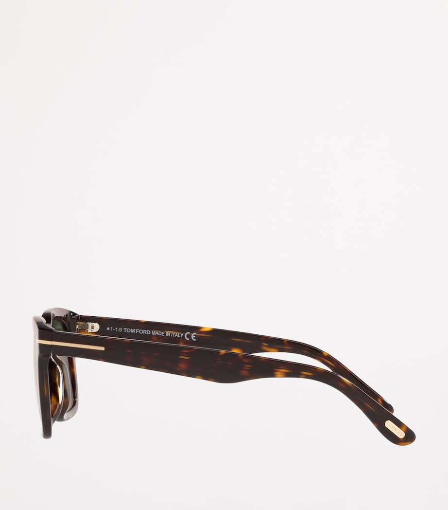 Acetate Tortoiseshell Dax Sunglasses 4402J1 Image 3