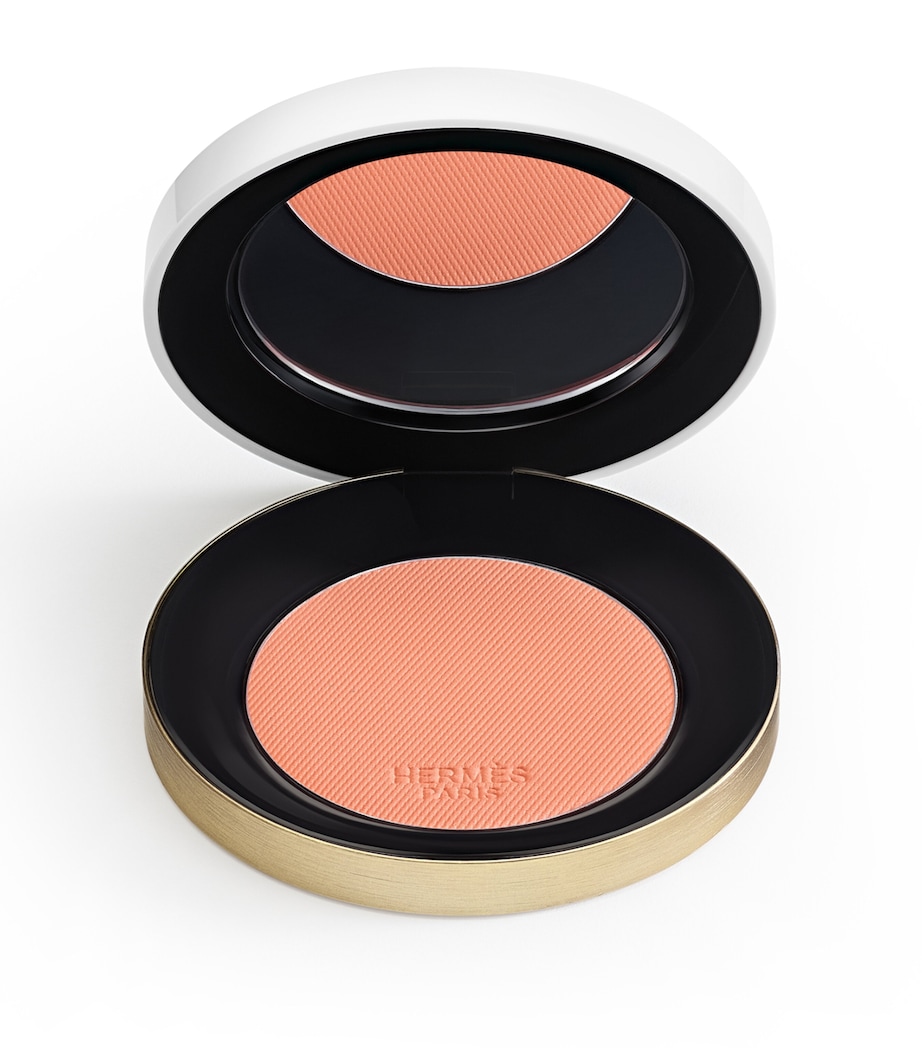 Rose Hermès Silky Blush Powder - 19 Rose Abricoté 19 ROSE ABRICOT Image 3