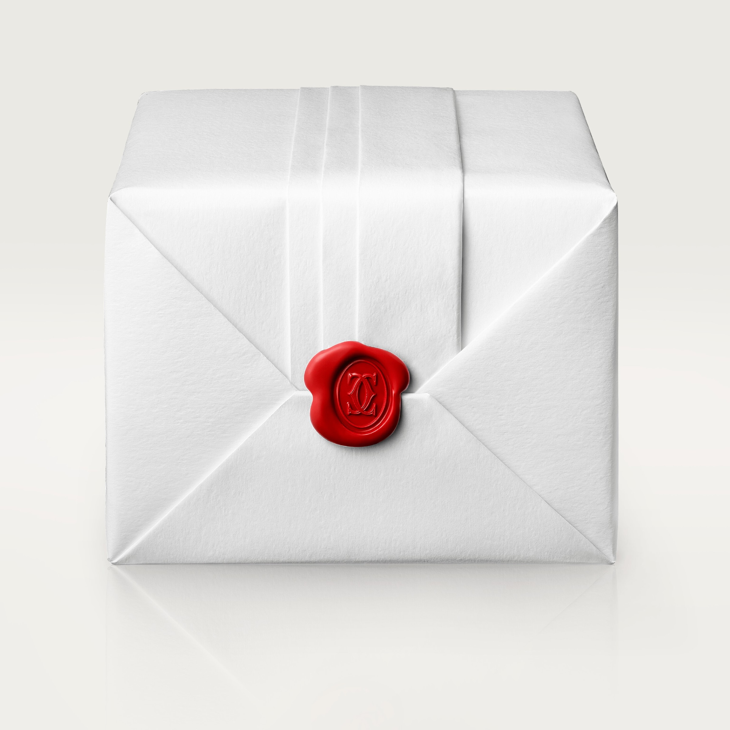 Large Steel Santos de Cartier Watch 39.8mm GREY Image 11