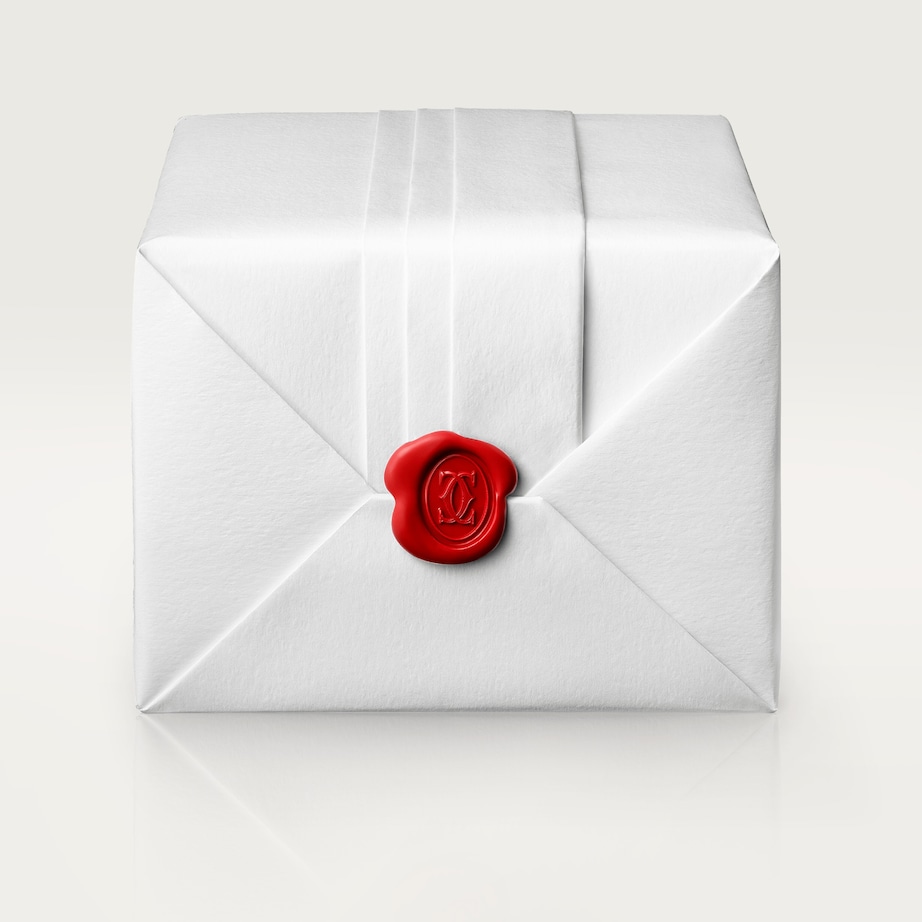 Large Steel Santos de Cartier Watch 39.8mm GREY Image 11