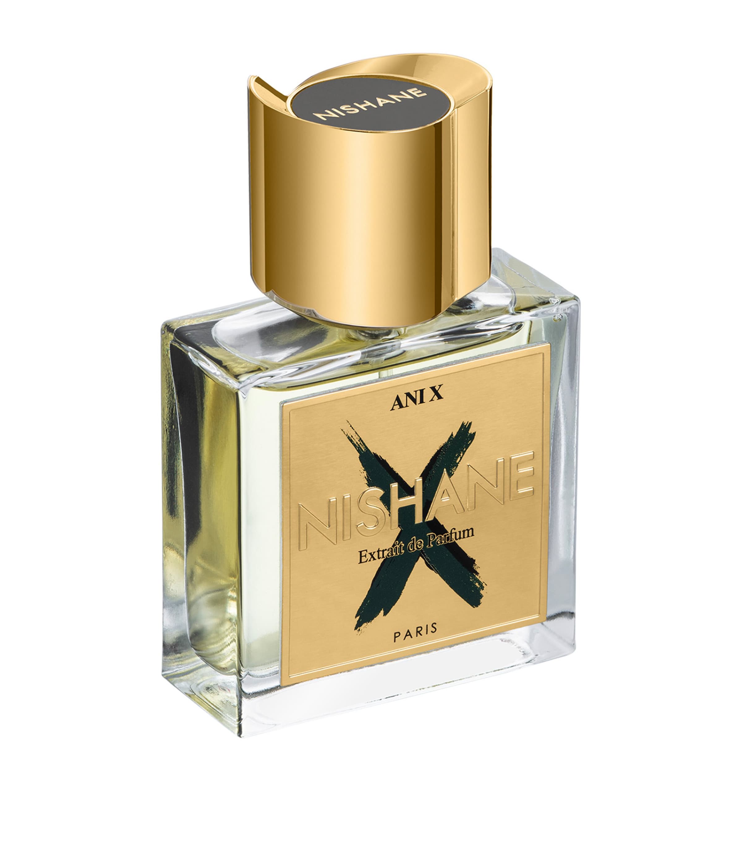 Ani X Extrait de Parfum (100ml) NO COLOUR Image 2